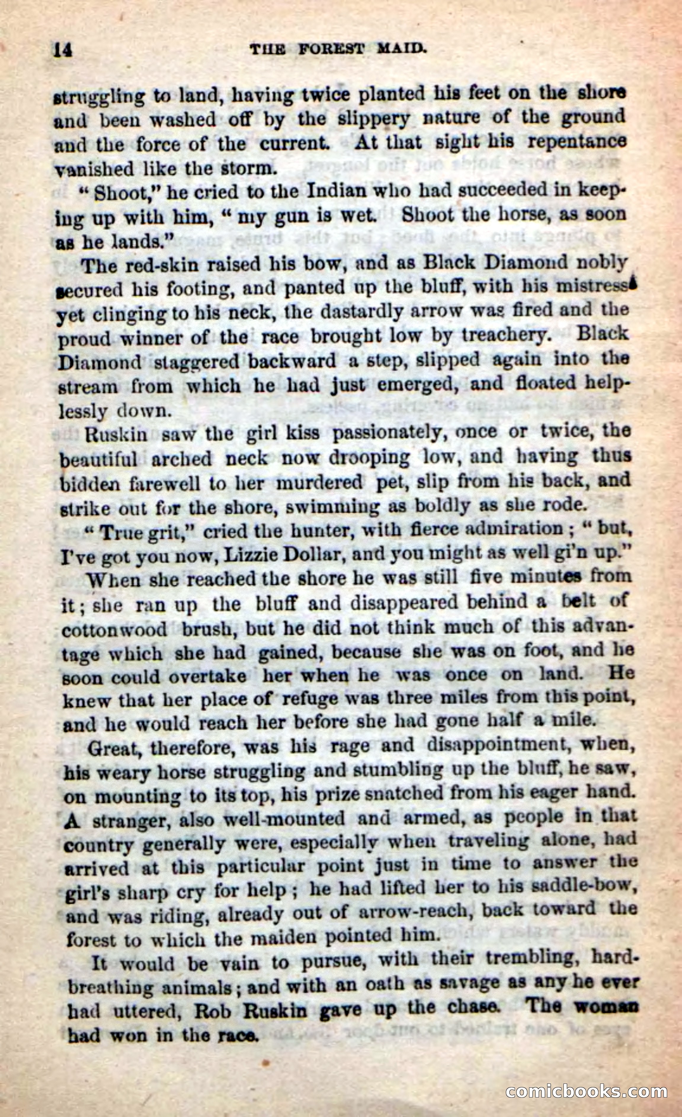 Beadle's New Dime Novels: Rob Ruskin — page 10 of 101