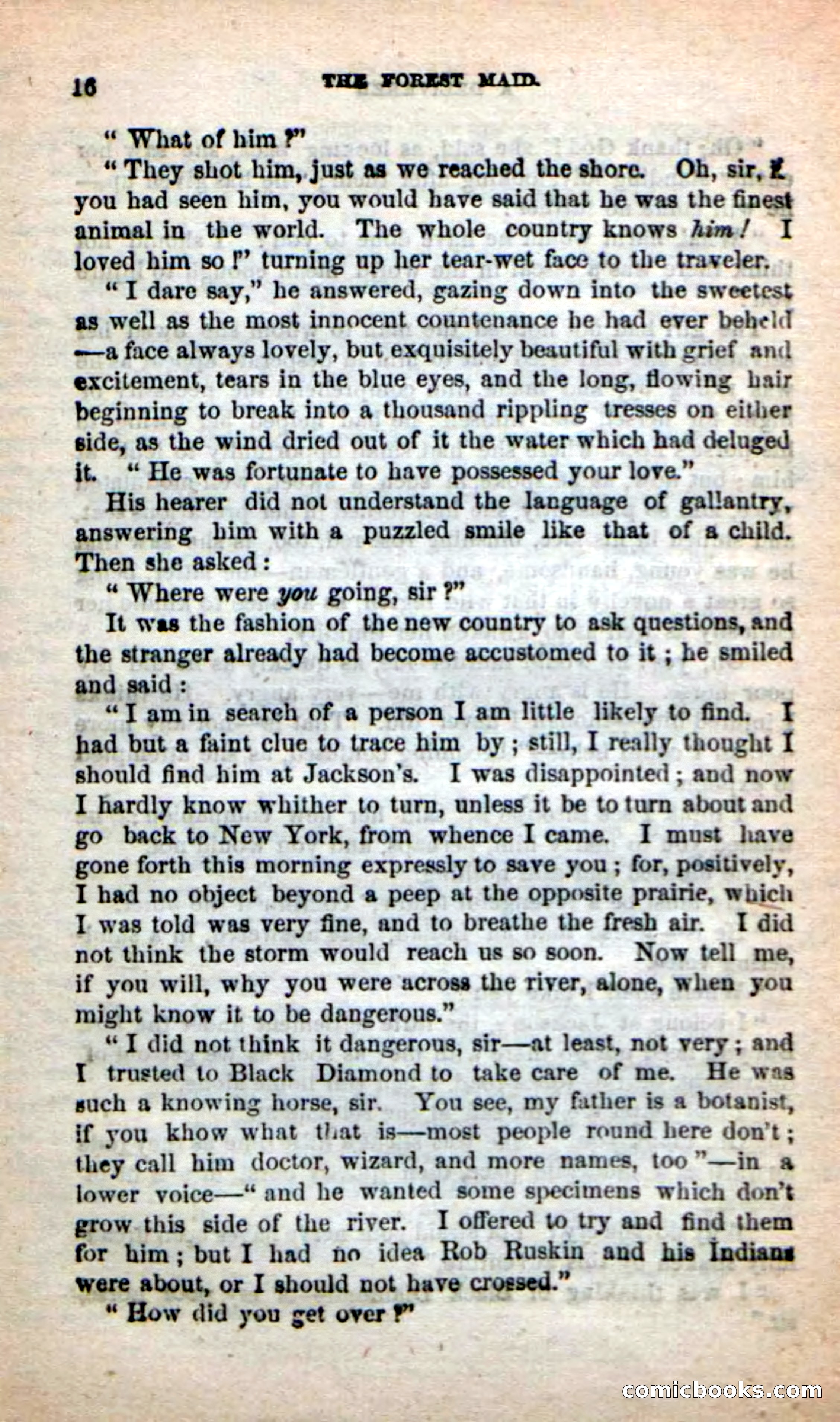 Beadle's New Dime Novels: Rob Ruskin — page 12 of 101