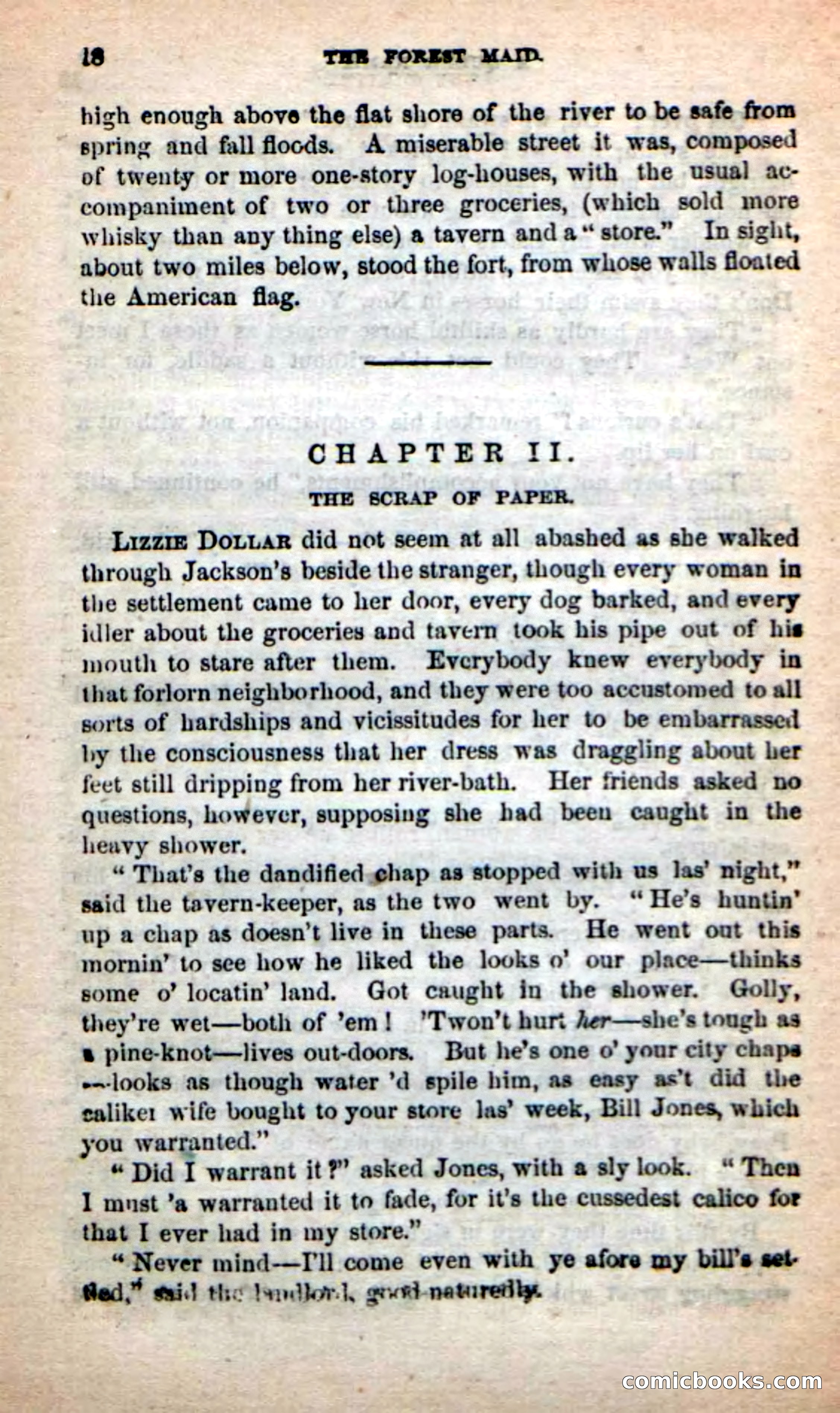 Beadle's New Dime Novels: Rob Ruskin — page 14 of 101