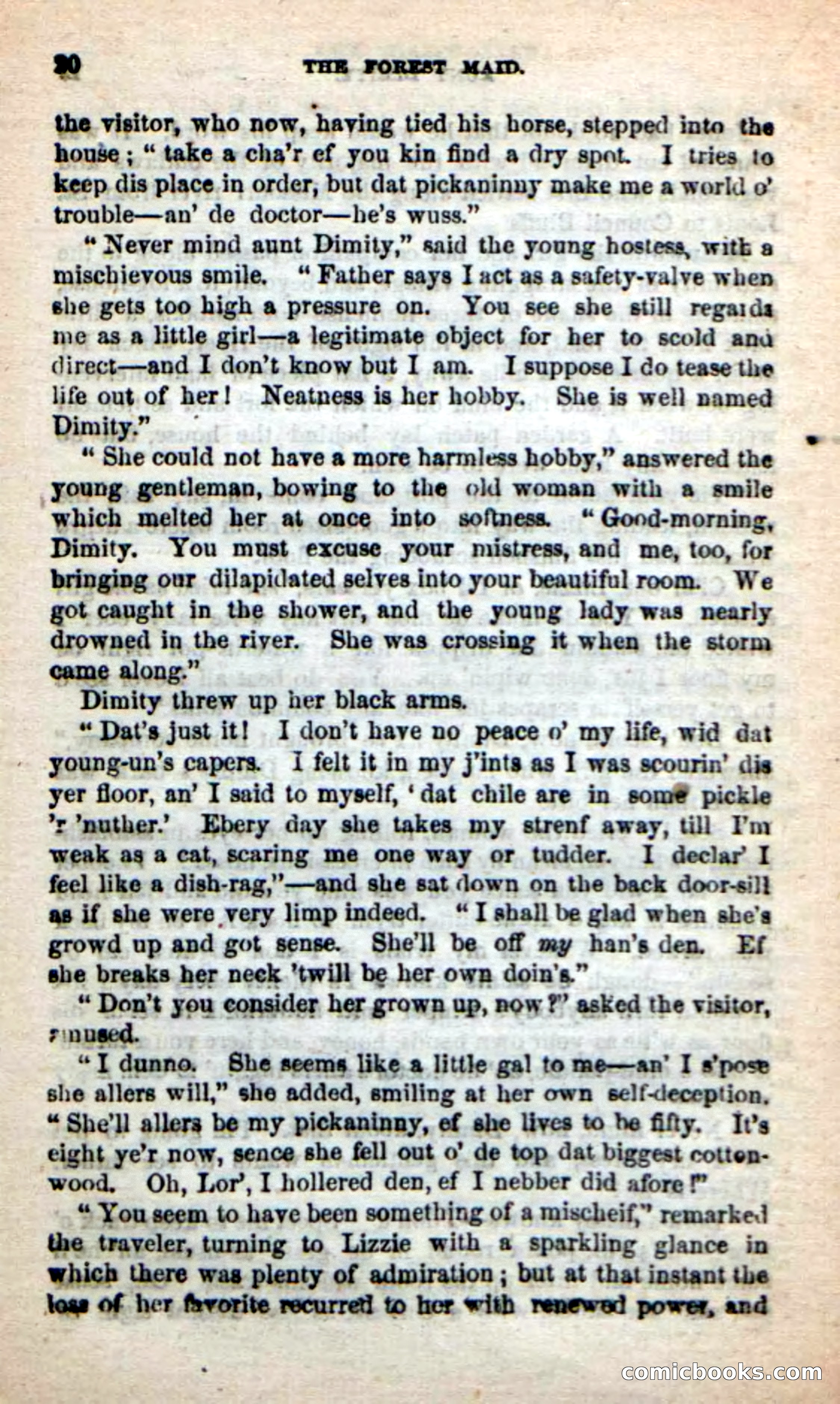 Beadle's New Dime Novels: Rob Ruskin — page 16 of 101
