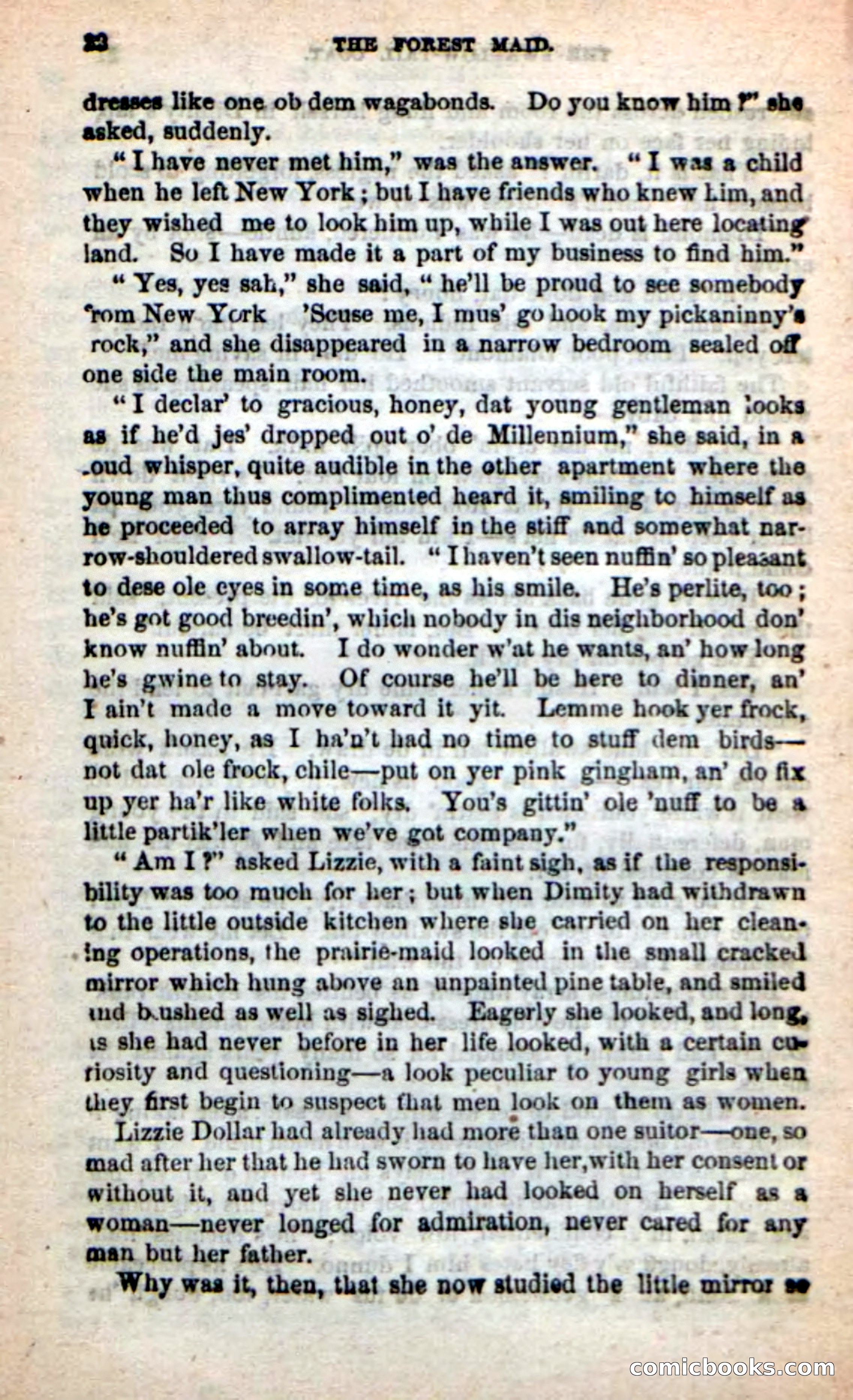 Beadle's New Dime Novels: Rob Ruskin — page 18 of 101