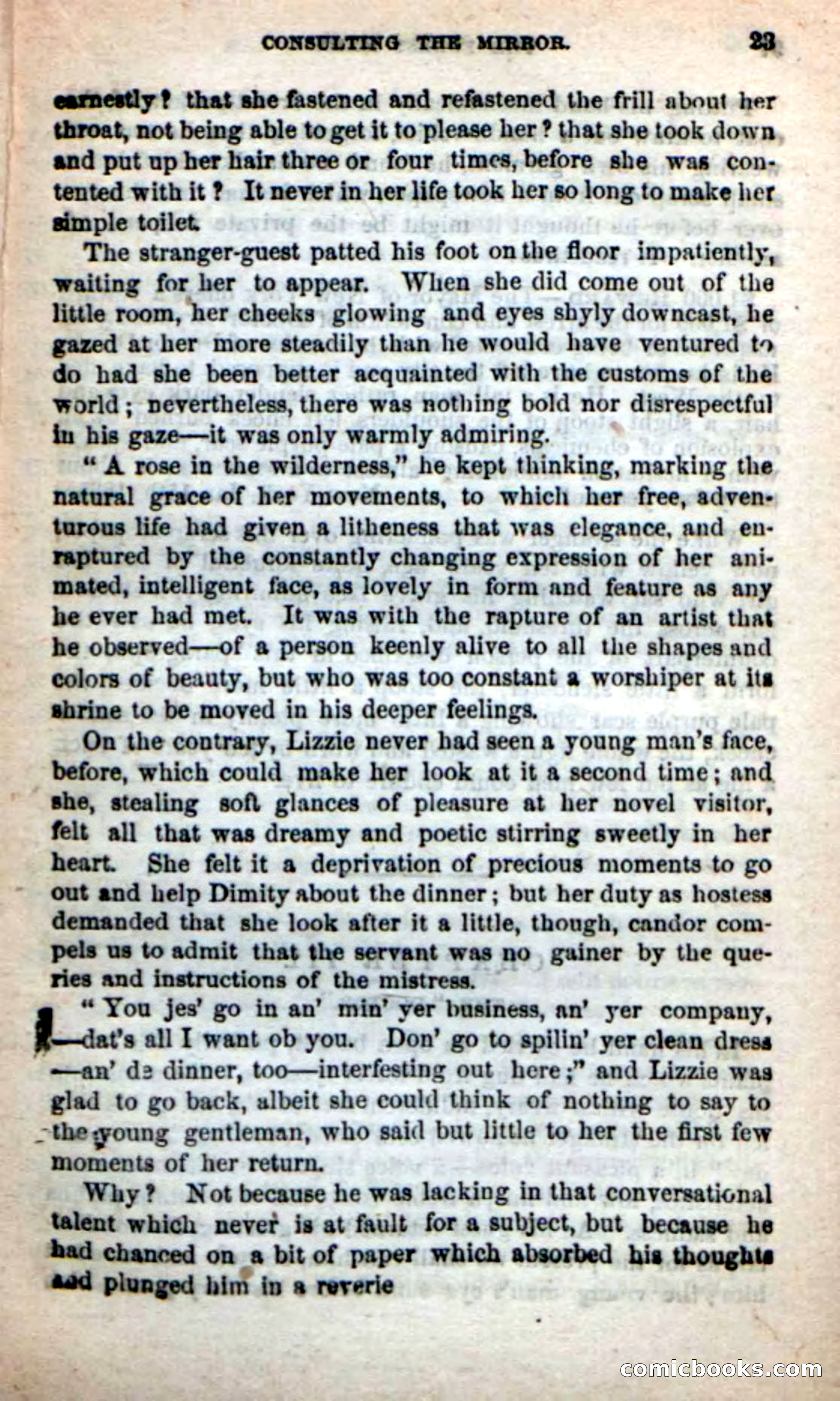 Beadle's New Dime Novels: Rob Ruskin — page 19 of 101