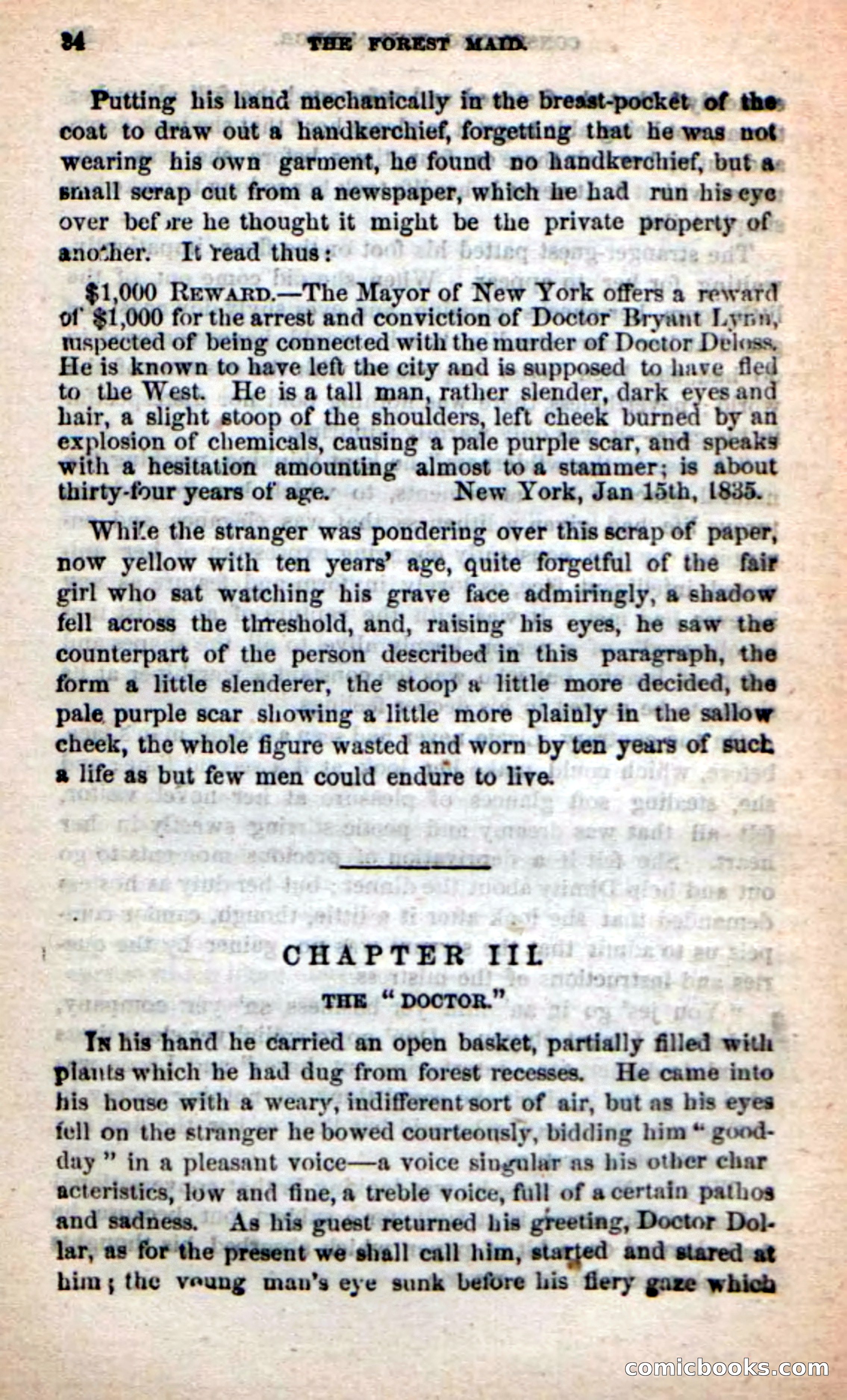Beadle's New Dime Novels: Rob Ruskin — page 20 of 101