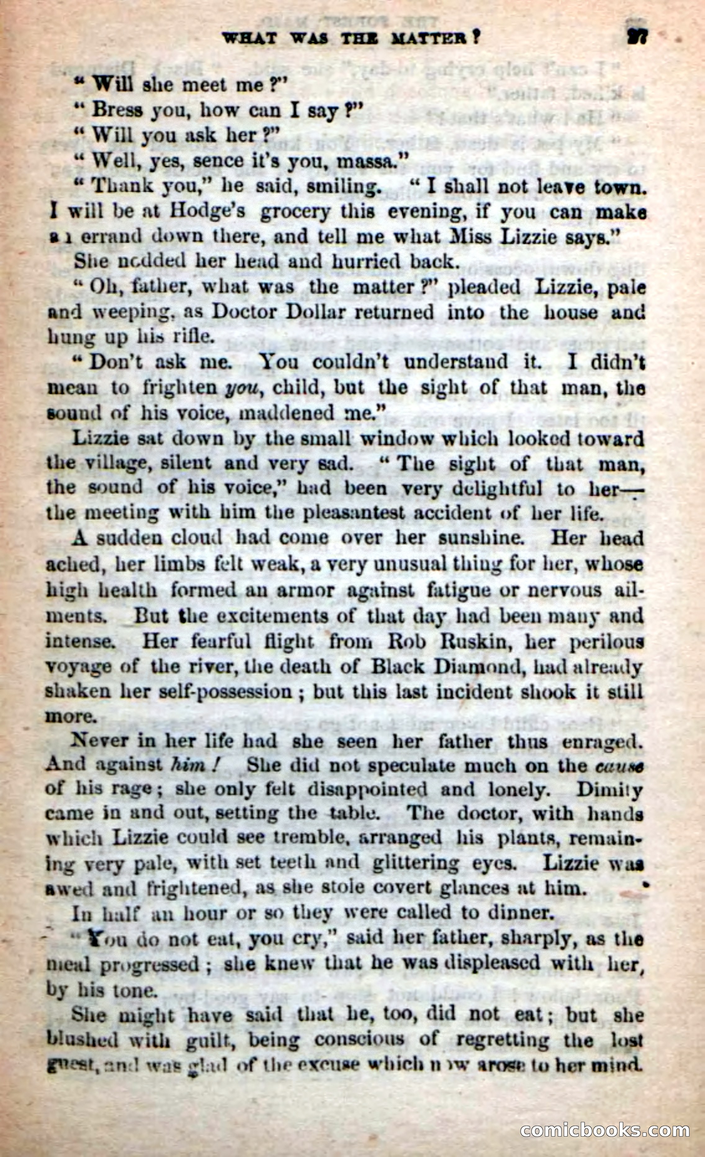 Beadle's New Dime Novels: Rob Ruskin — page 23 of 101