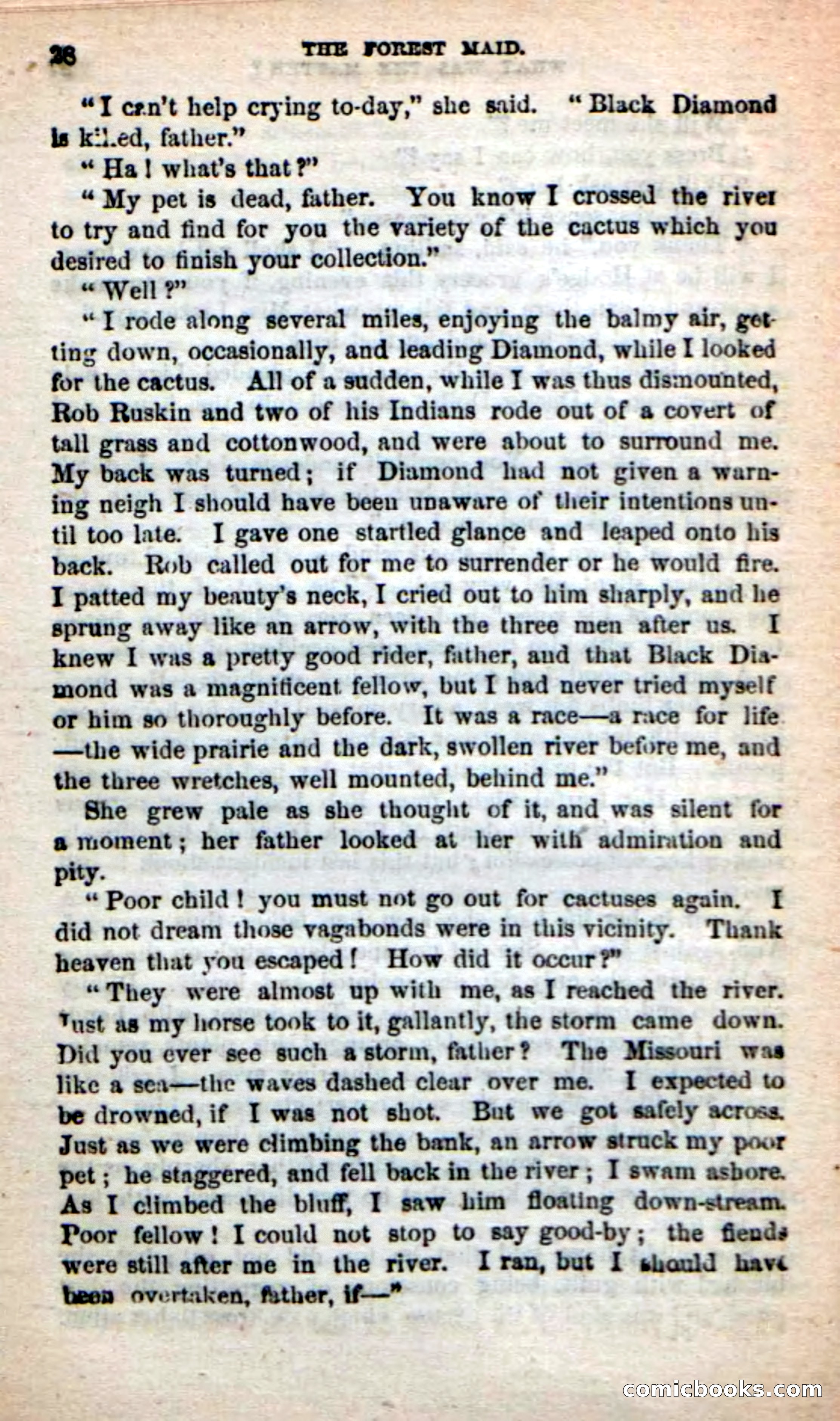 Beadle's New Dime Novels: Rob Ruskin — page 24 of 101