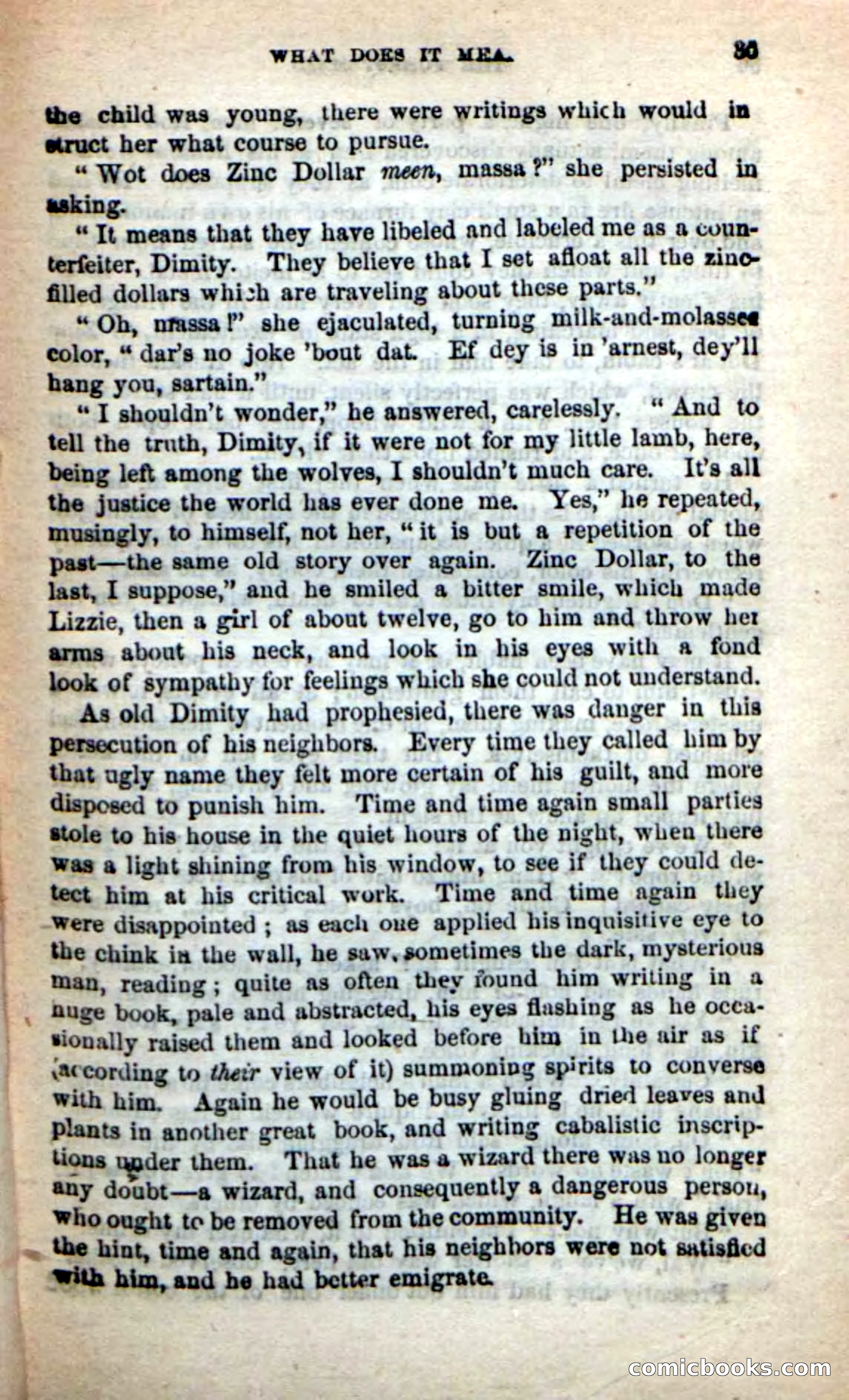 Beadle's New Dime Novels: Rob Ruskin — page 31 of 101