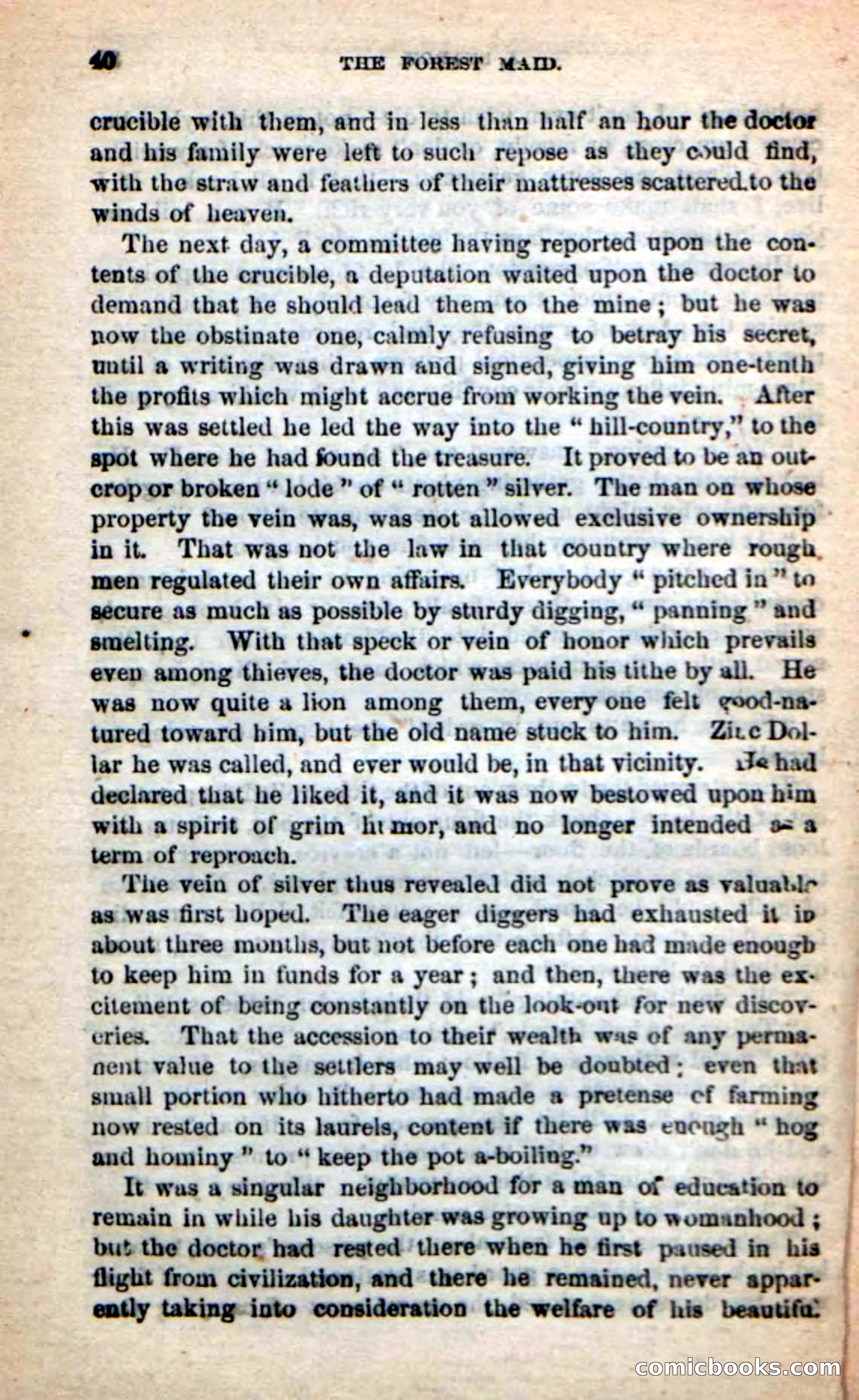 Beadle's New Dime Novels: Rob Ruskin — page 36 of 101
