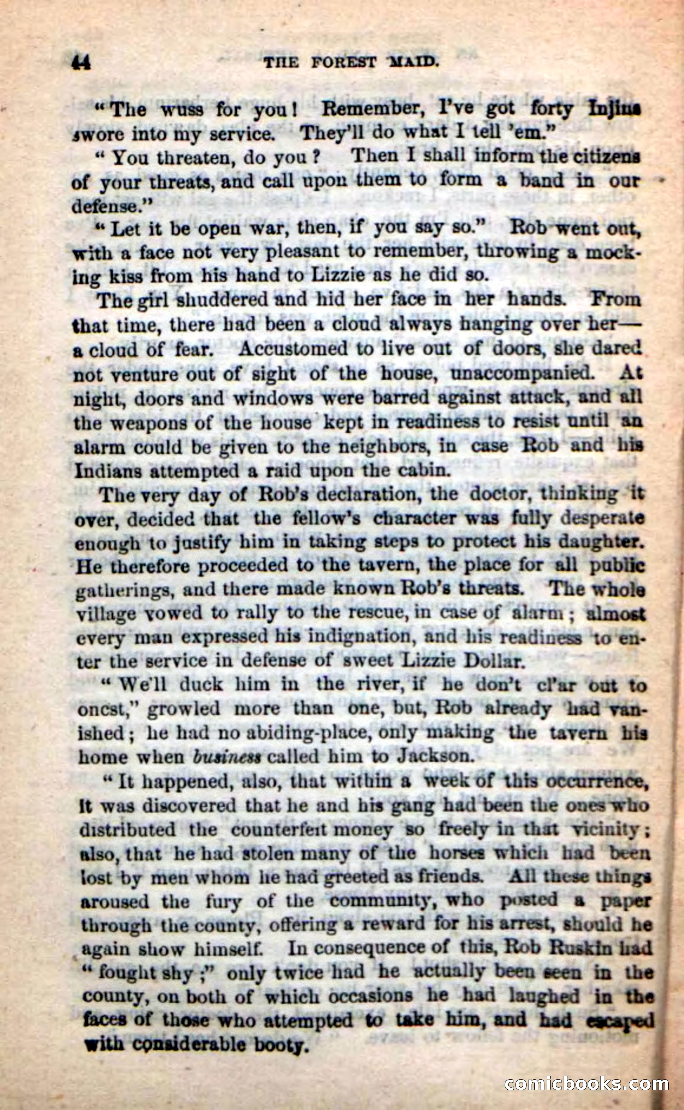 Beadle's New Dime Novels: Rob Ruskin — page 40 of 101