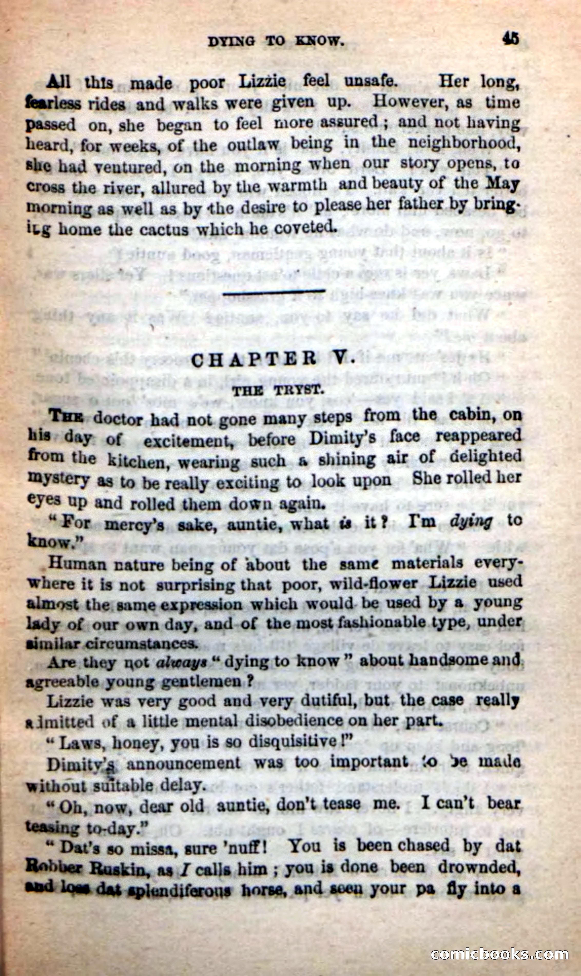 Beadle's New Dime Novels: Rob Ruskin — page 41 of 101