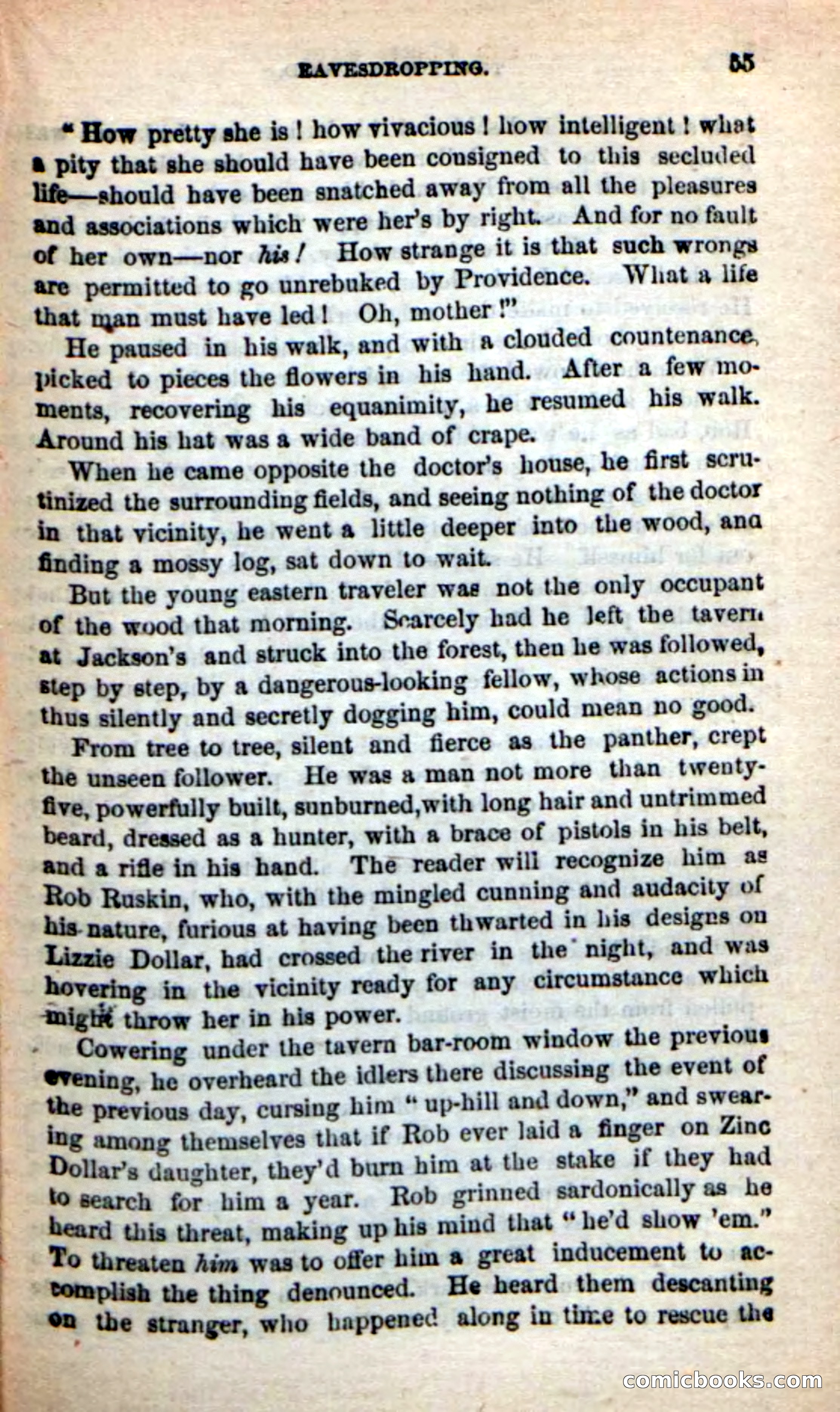 Beadle's New Dime Novels: Rob Ruskin — page 51 of 101