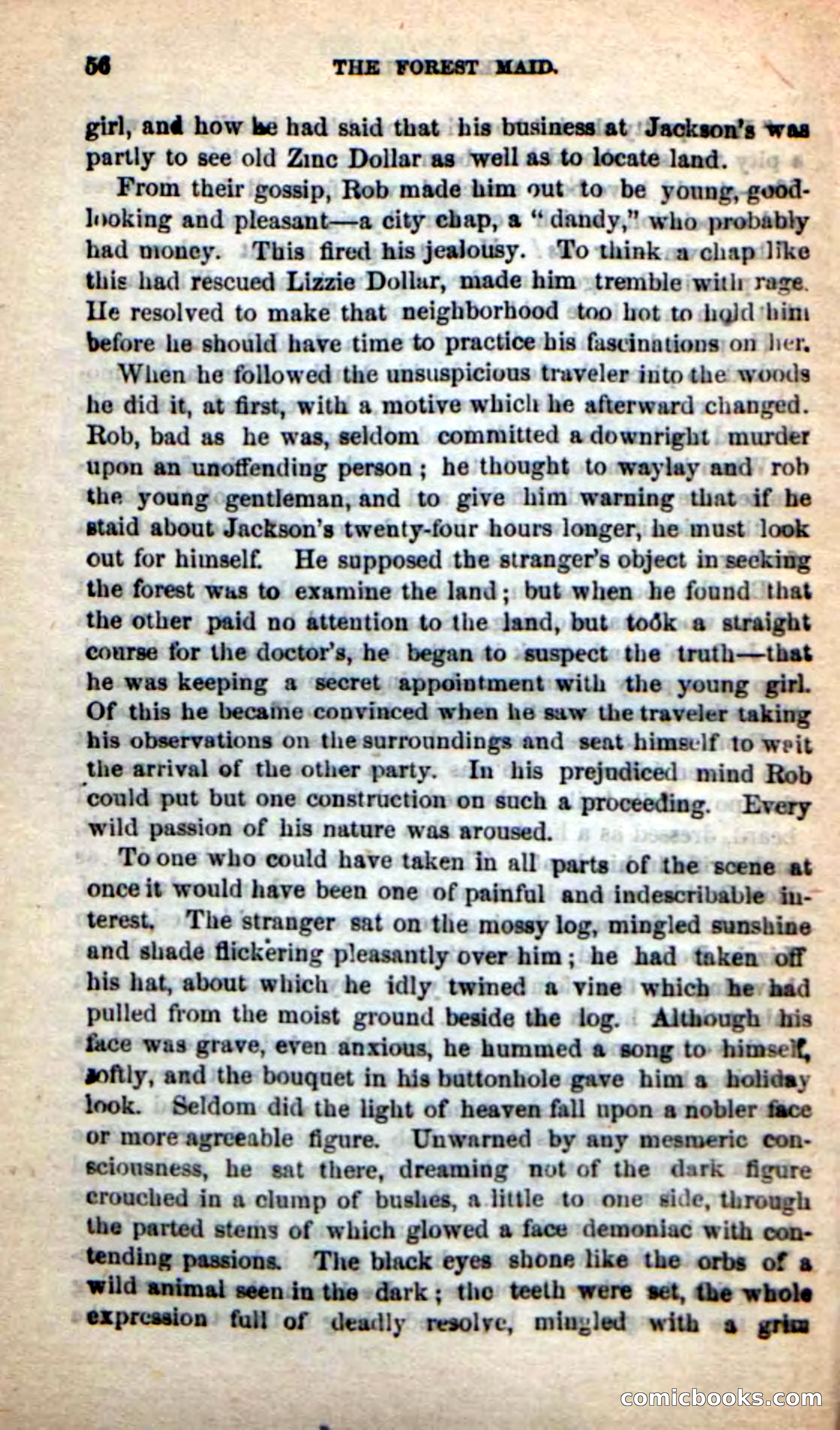 Beadle's New Dime Novels: Rob Ruskin — page 52 of 101