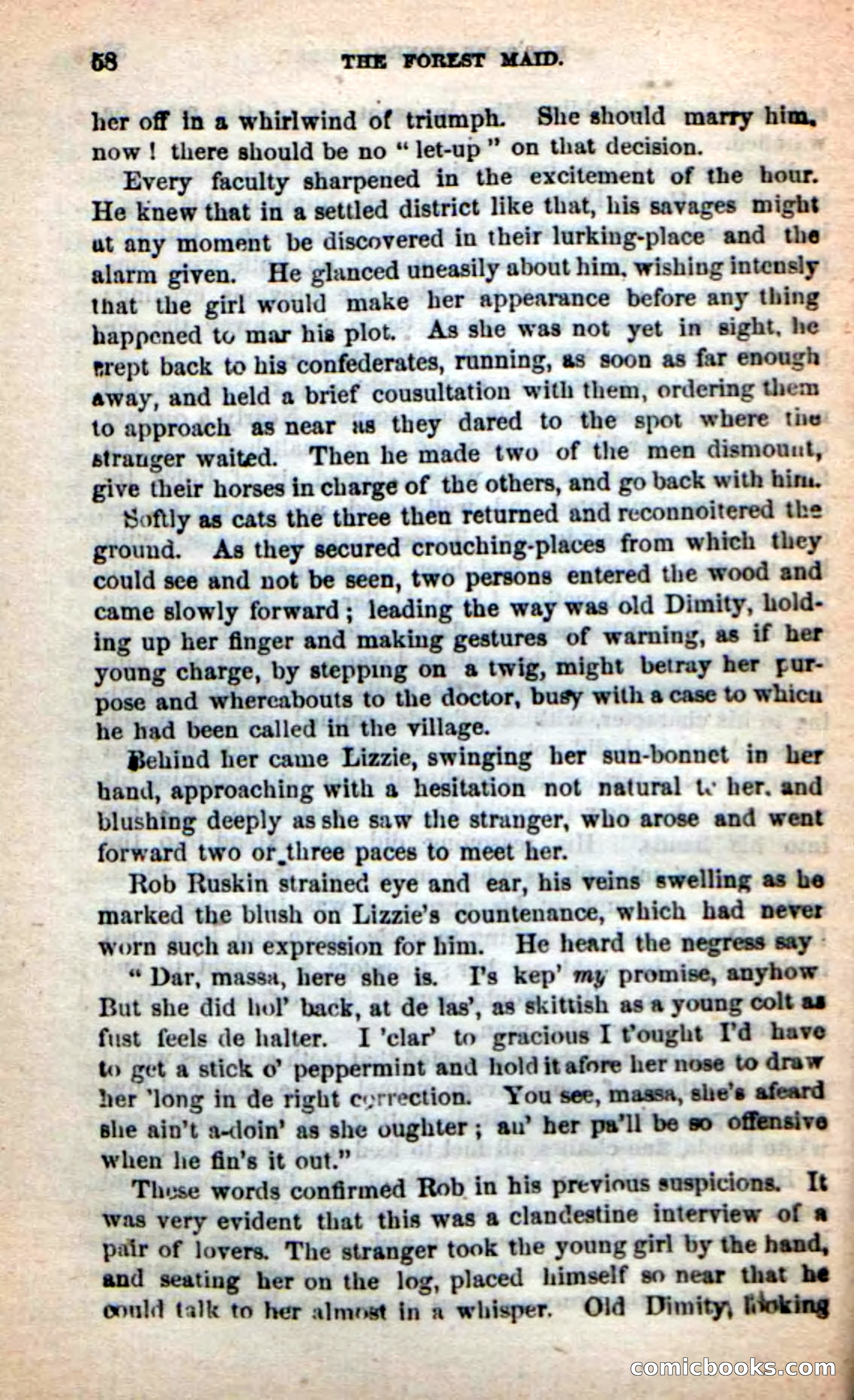 Beadle's New Dime Novels: Rob Ruskin — page 54 of 101