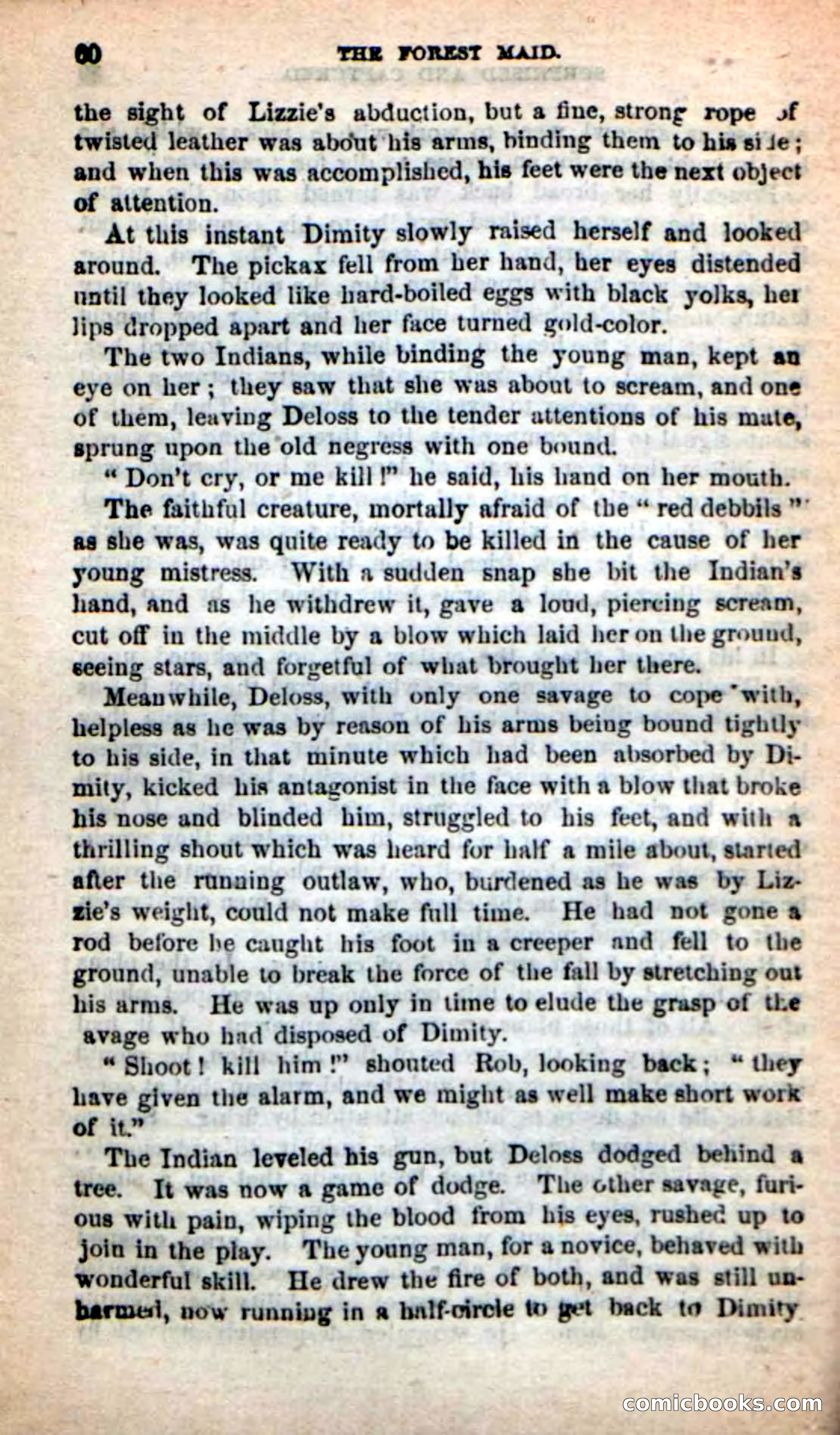 Beadle's New Dime Novels: Rob Ruskin — page 56 of 101