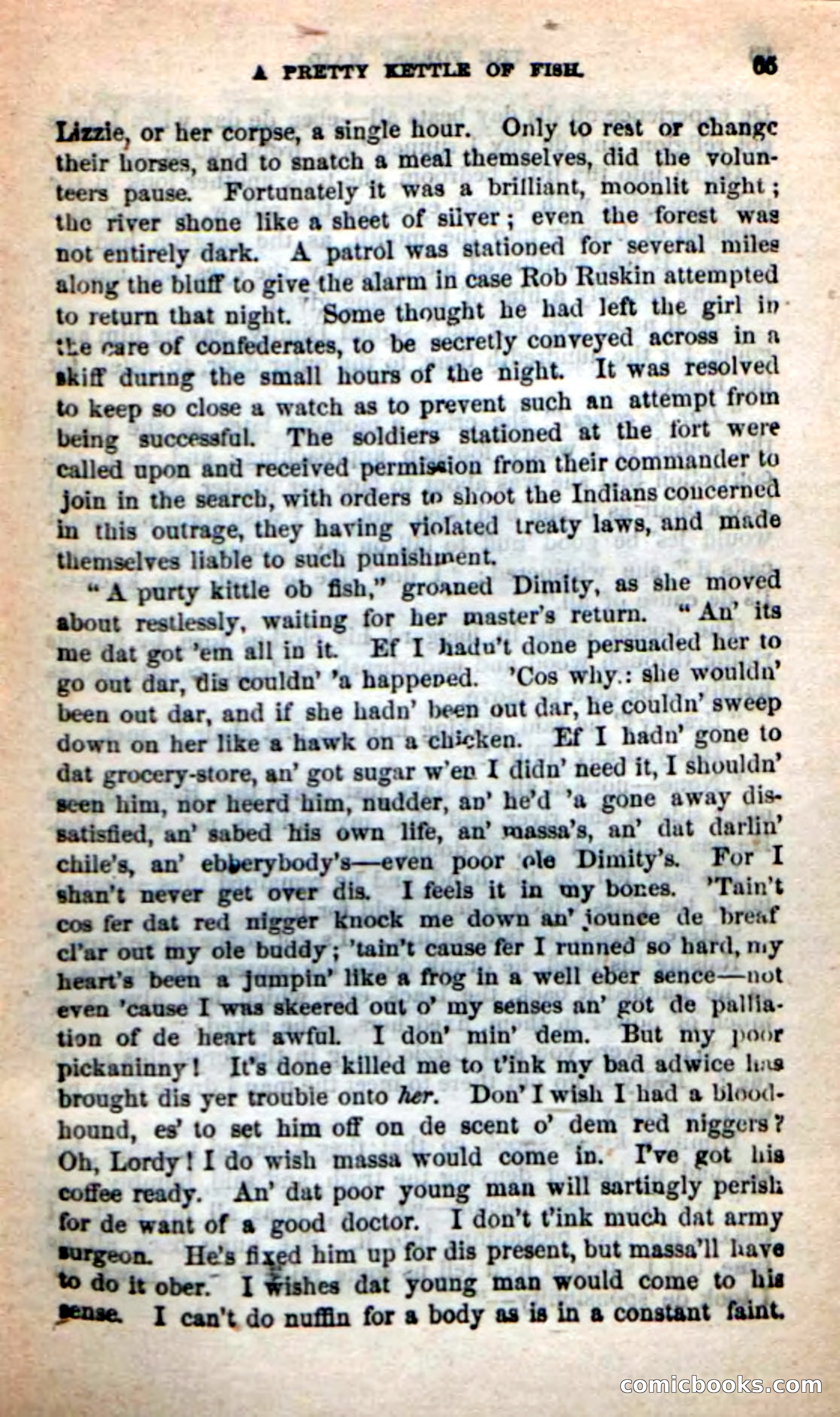 Beadle's New Dime Novels: Rob Ruskin — page 61 of 101
