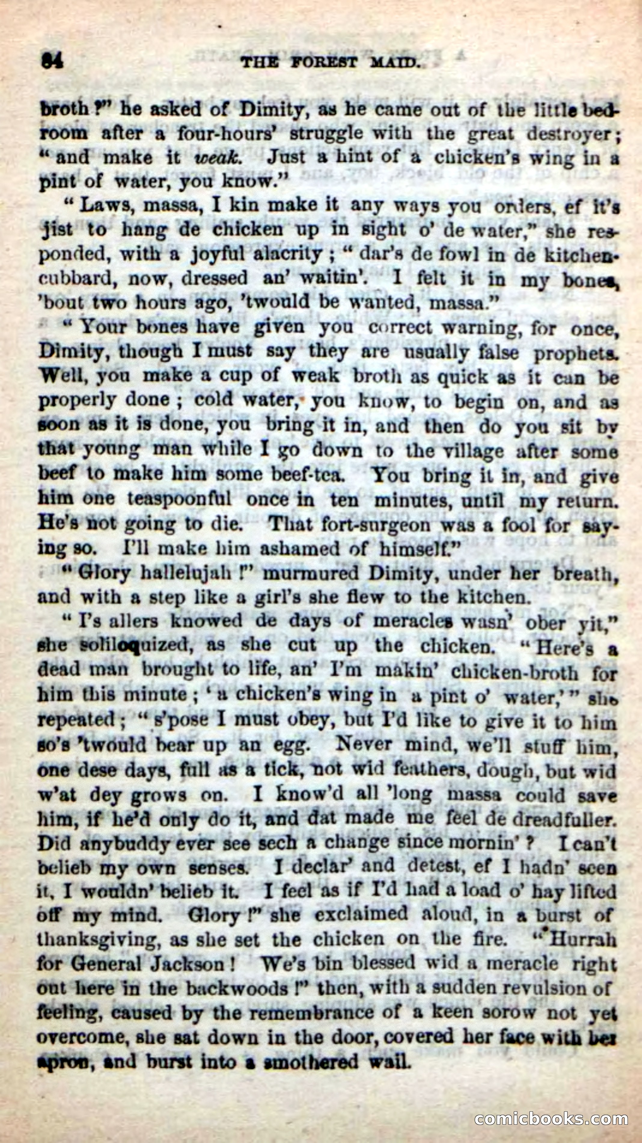 Beadle's New Dime Novels: Rob Ruskin — page 80 of 101