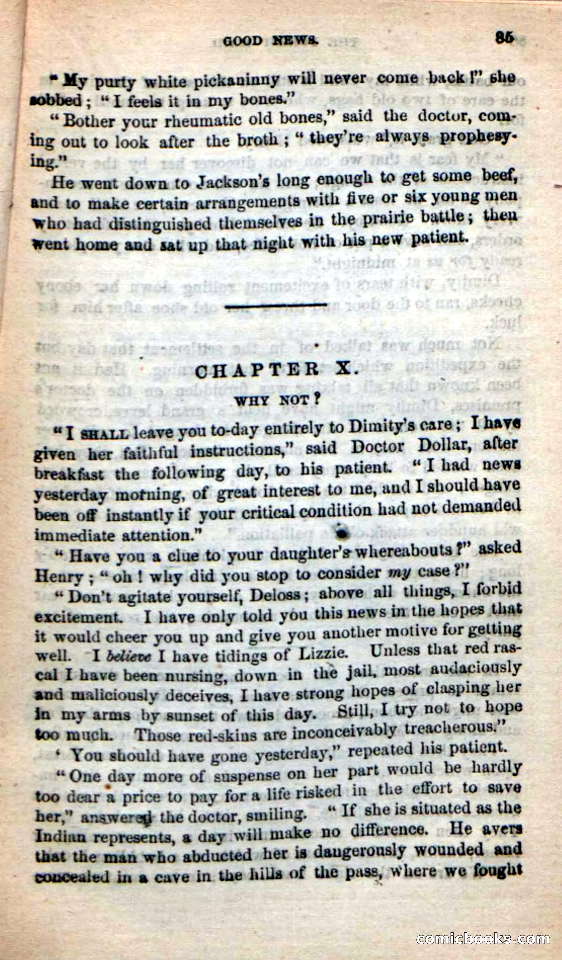 Beadle's New Dime Novels: Rob Ruskin — page 81 of 101