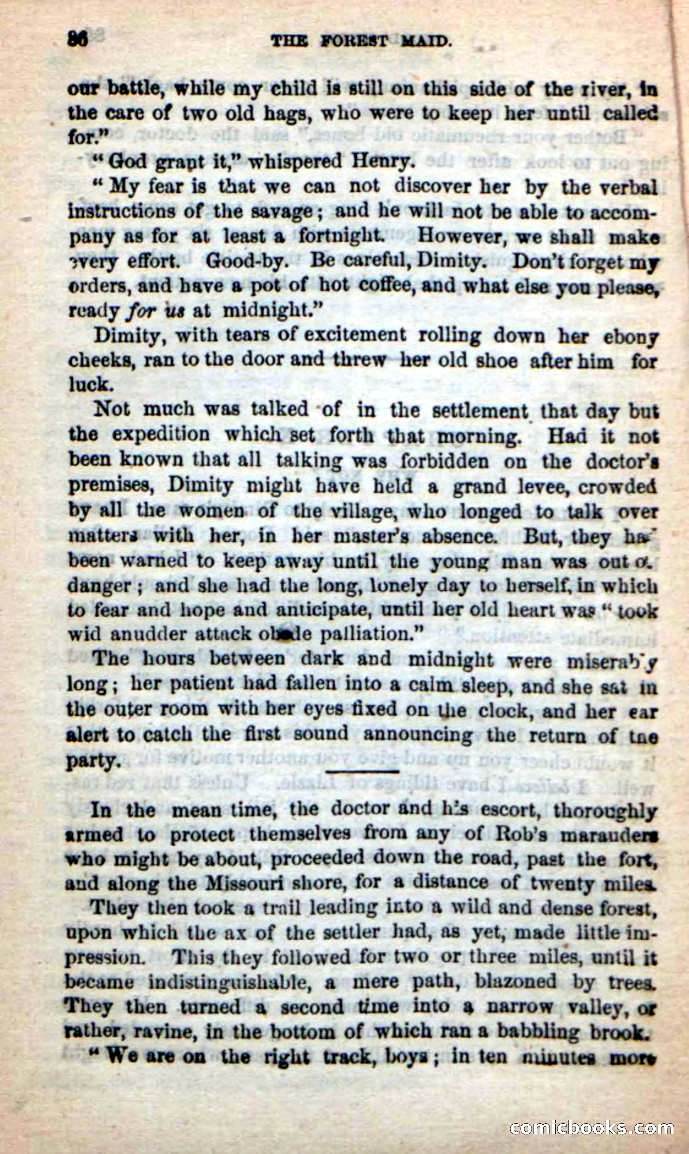Beadle's New Dime Novels: Rob Ruskin — page 82 of 101