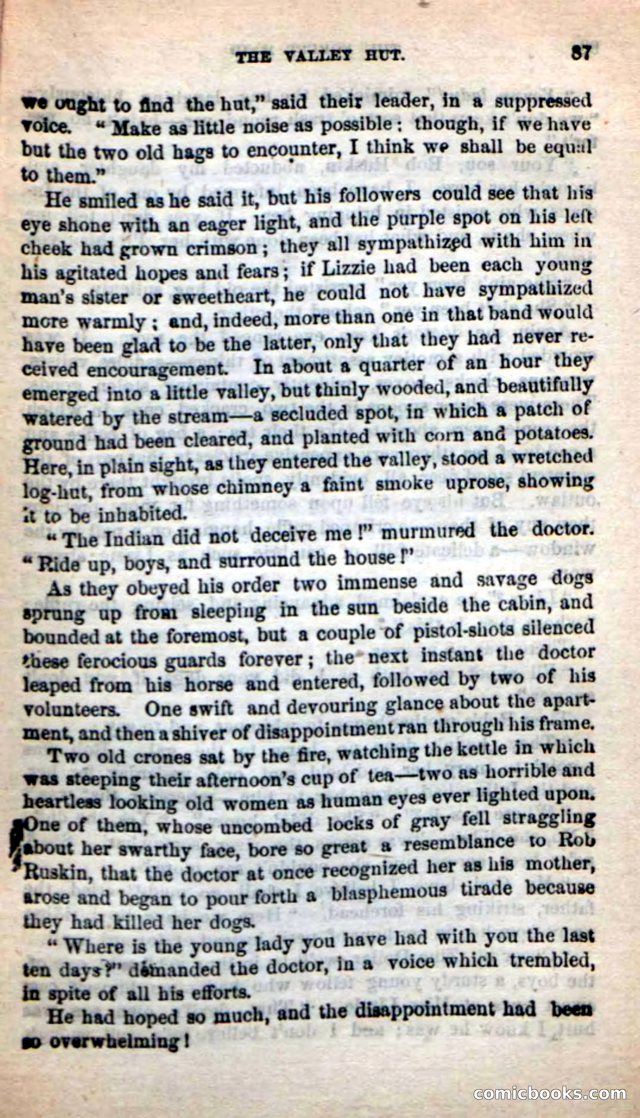 Beadle's New Dime Novels: Rob Ruskin — page 83 of 101