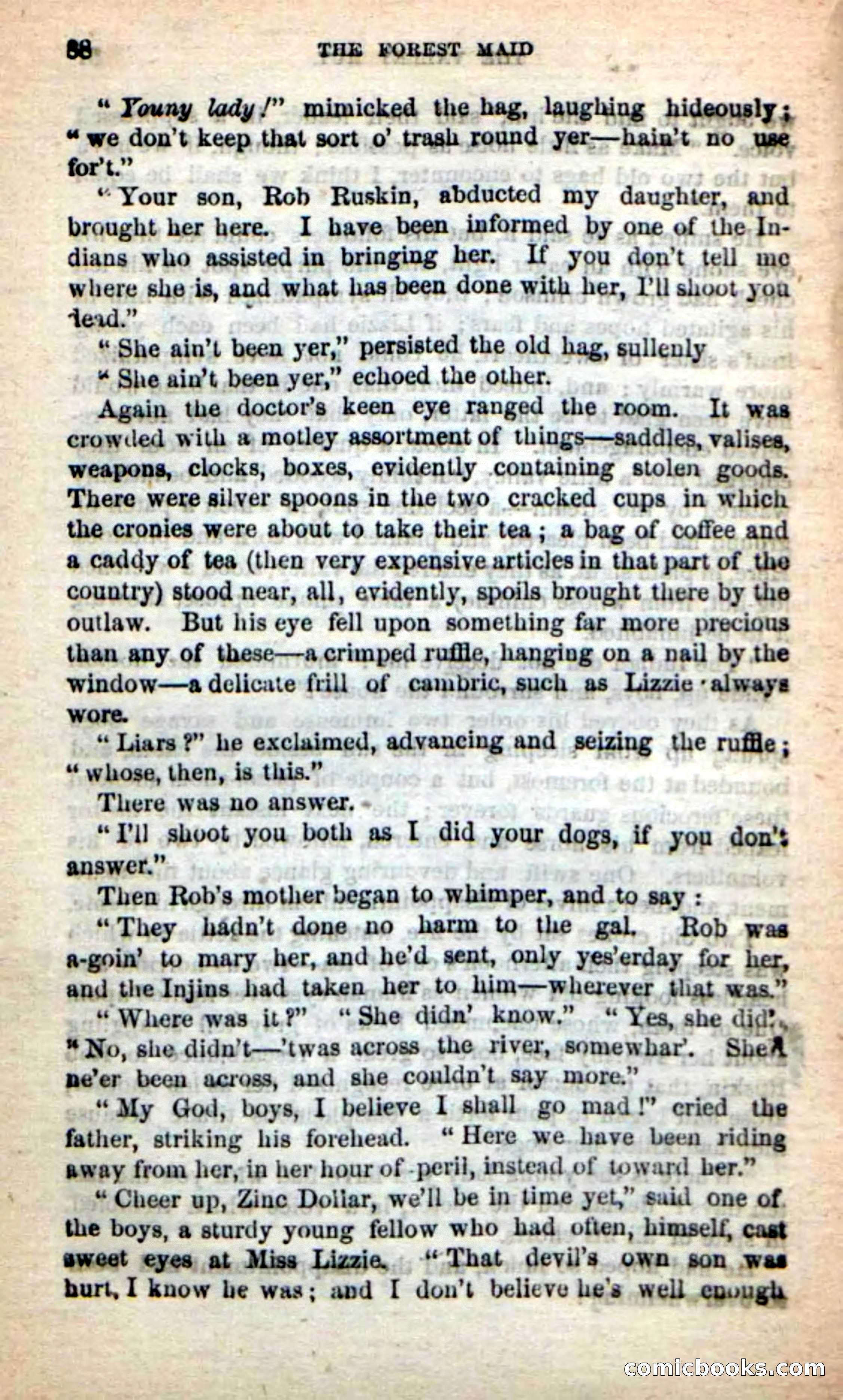 Beadle's New Dime Novels: Rob Ruskin — page 84 of 101