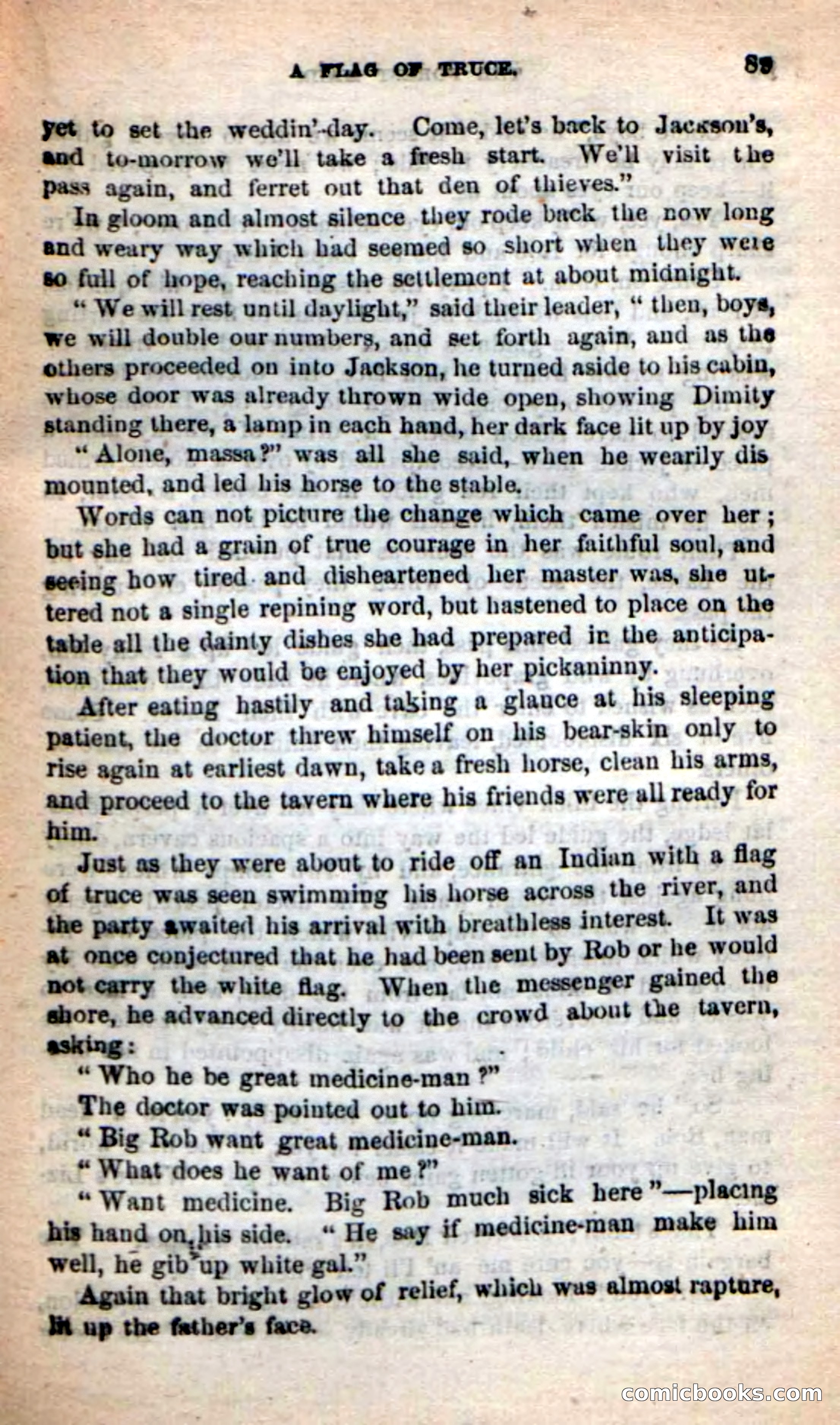 Beadle's New Dime Novels: Rob Ruskin — page 85 of 101