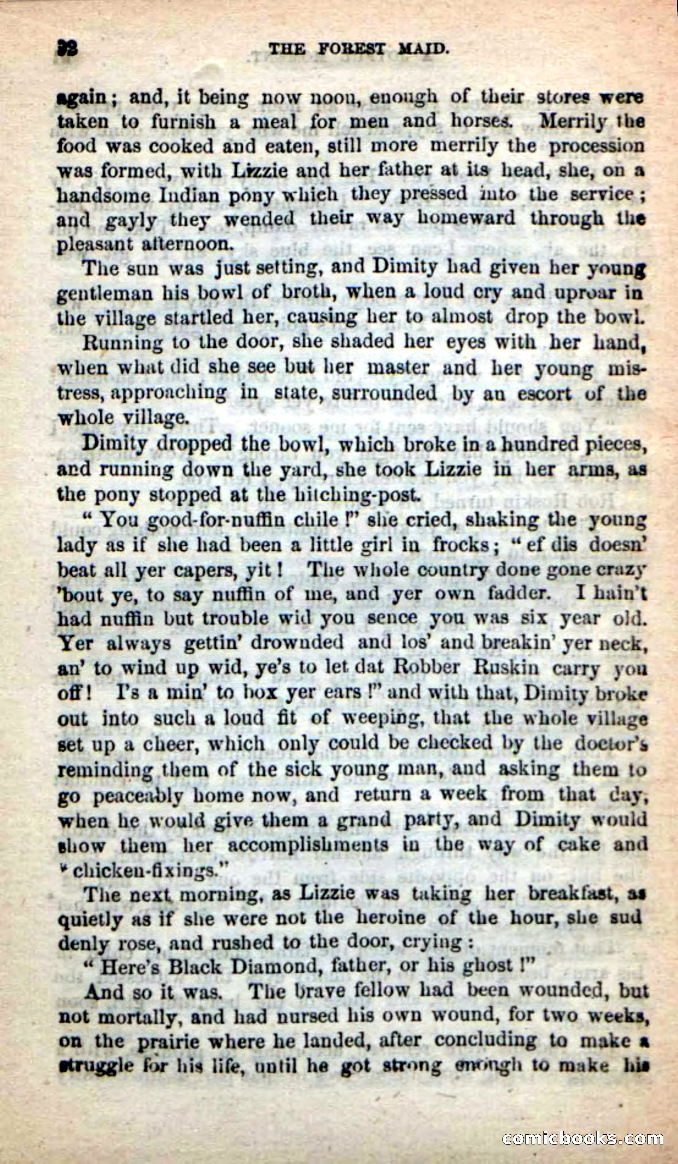 Beadle's New Dime Novels: Rob Ruskin — page 88 of 101