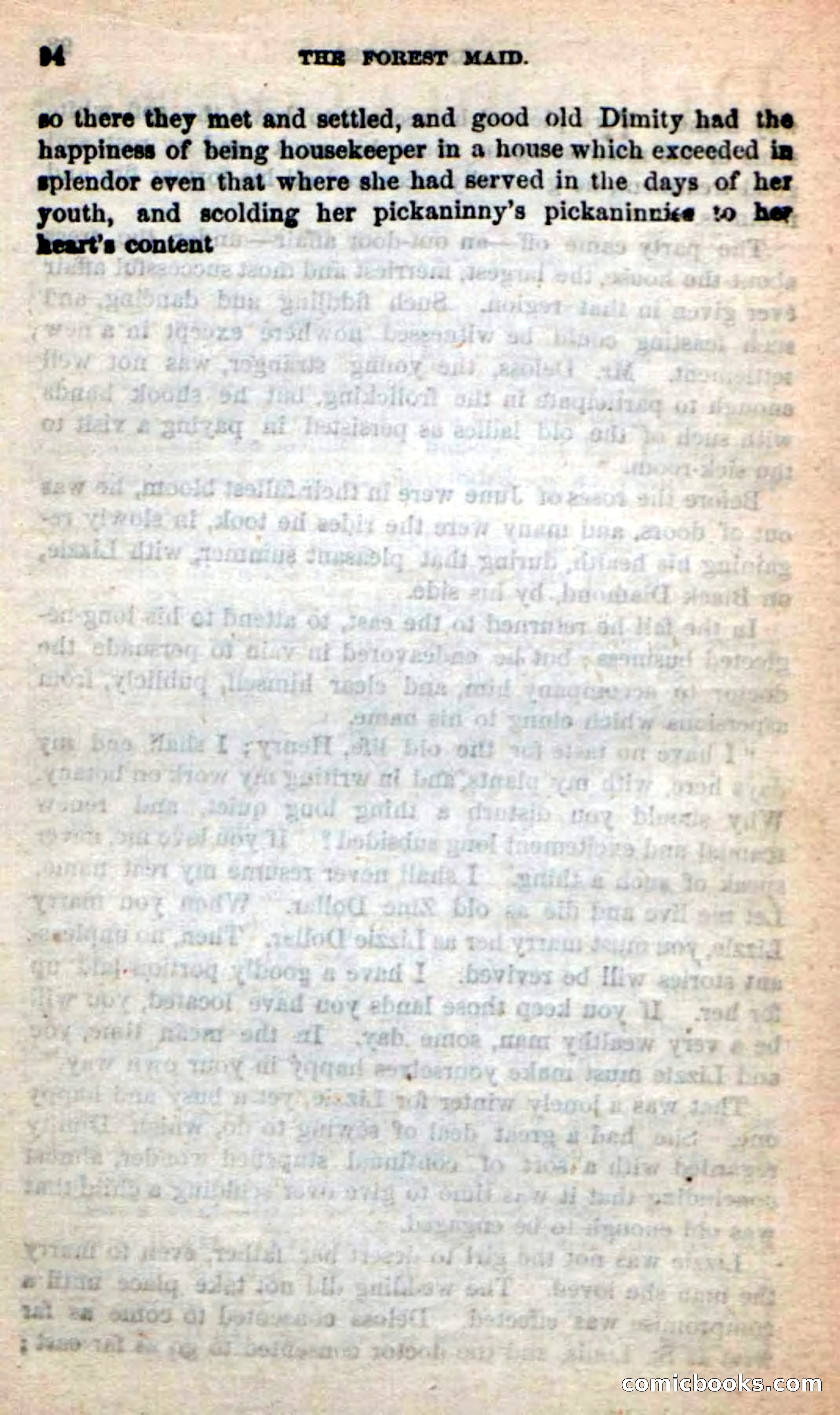 Beadle's New Dime Novels: Rob Ruskin — page 90 of 101