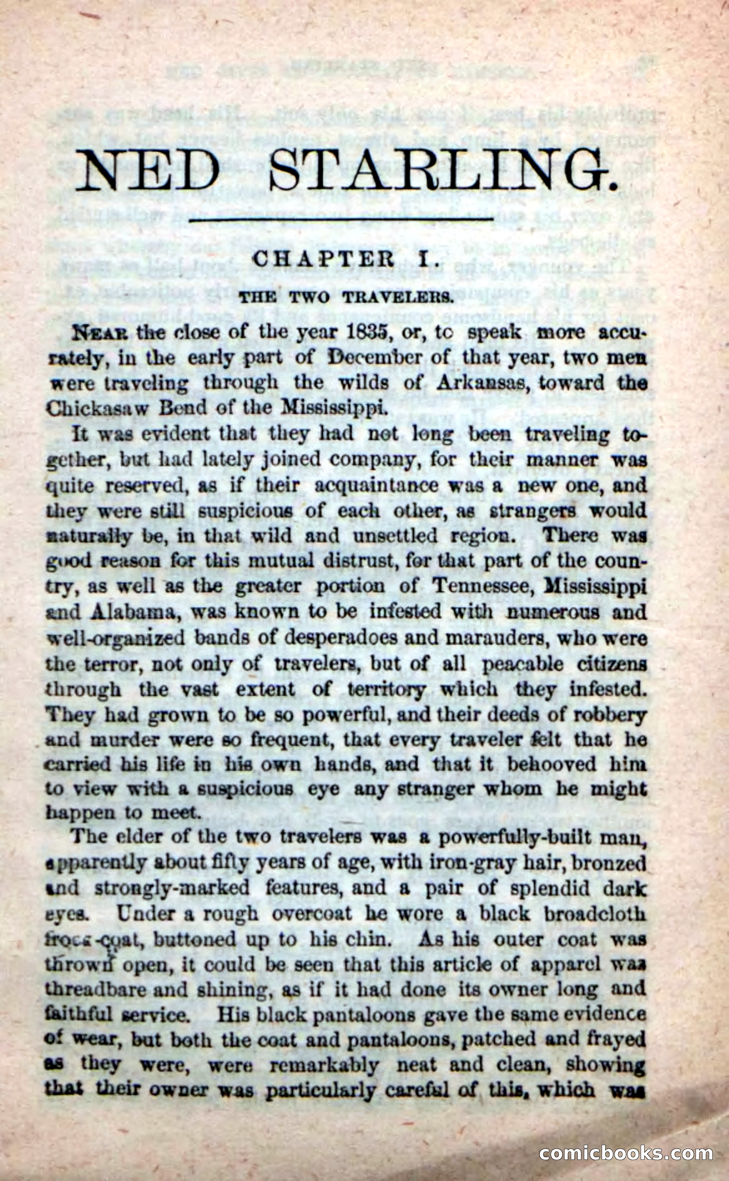 Beadle's New Dime Novels, No. 116 — page 5 of 100