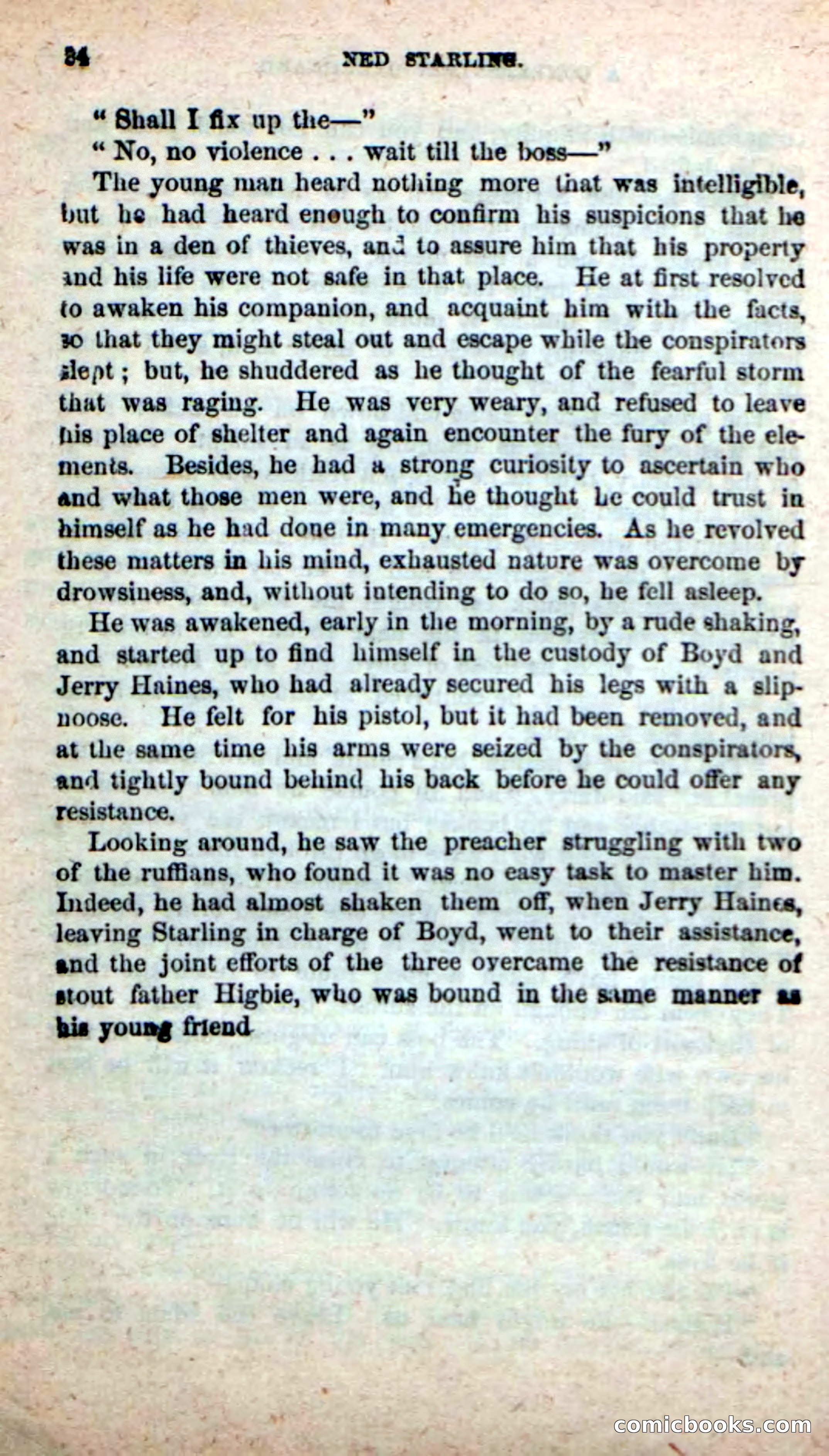 Beadle's New Dime Novels, No. 116 — page 20 of 100