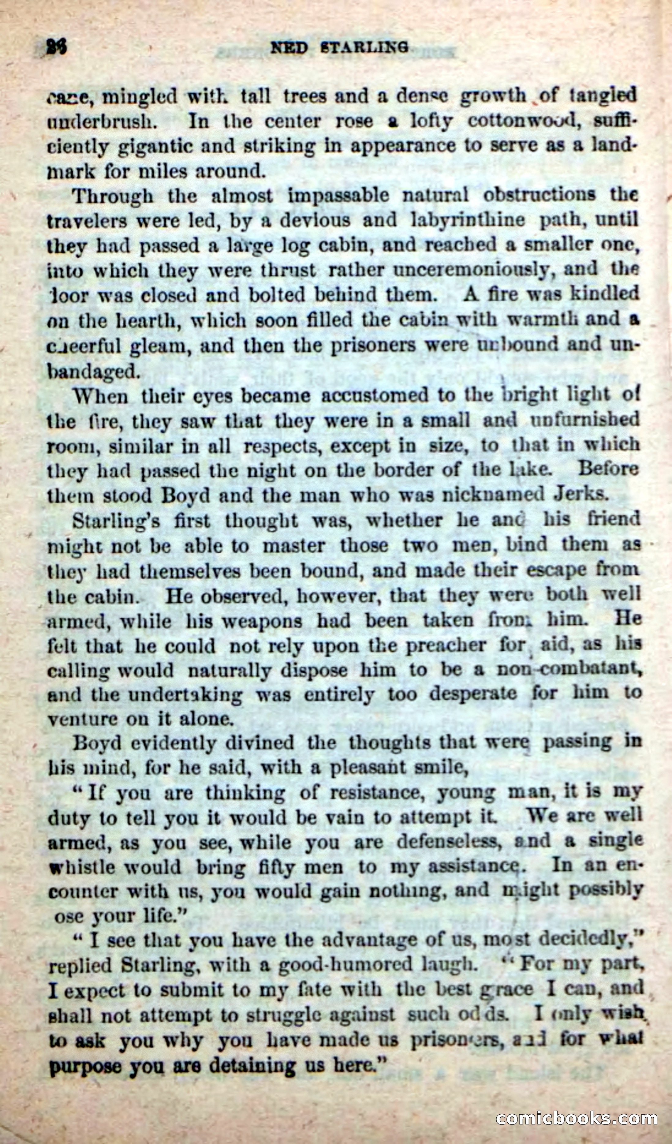 Beadle's New Dime Novels, No. 116 — page 22 of 100