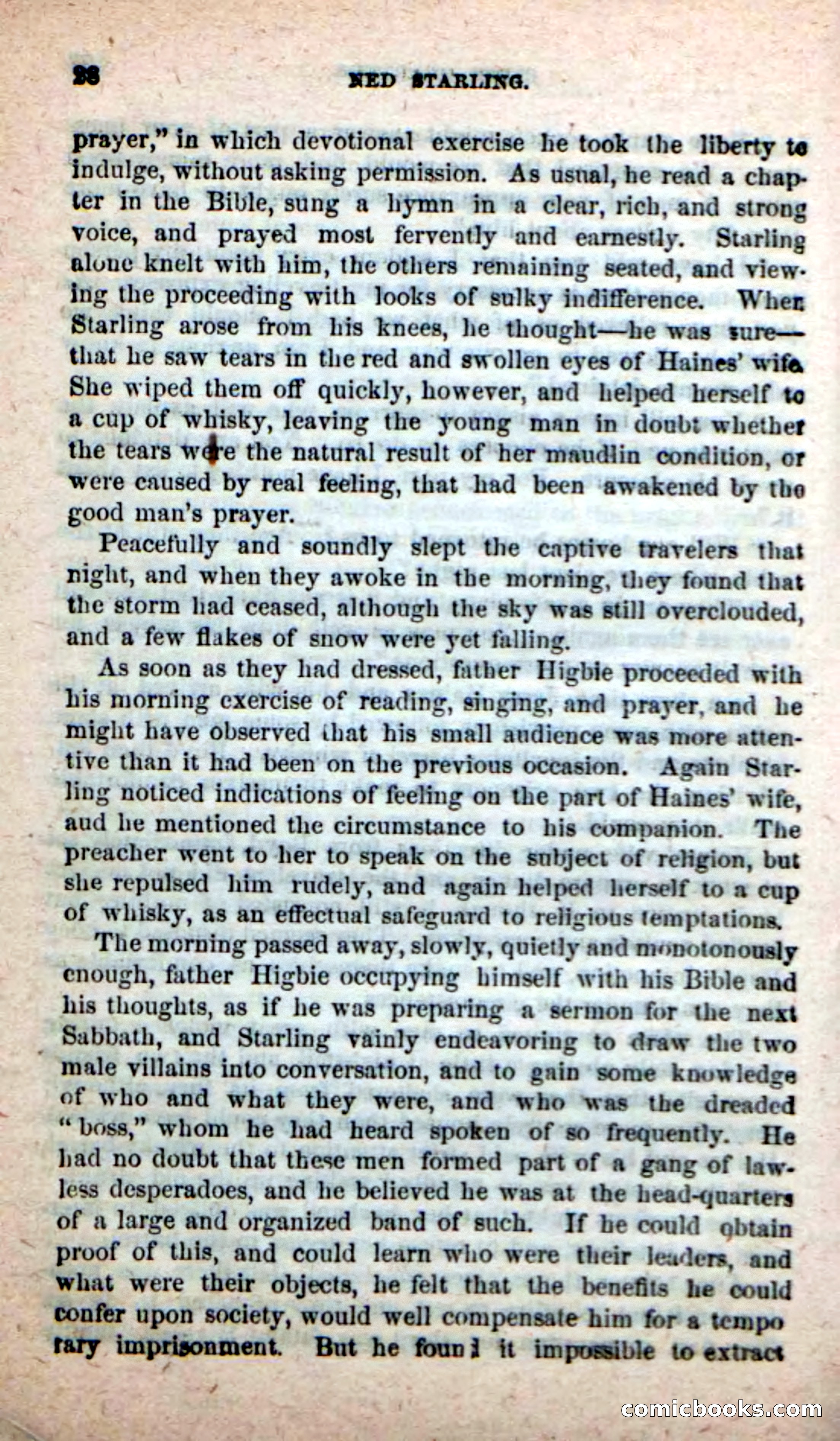 Beadle's New Dime Novels, No. 116 — page 24 of 100