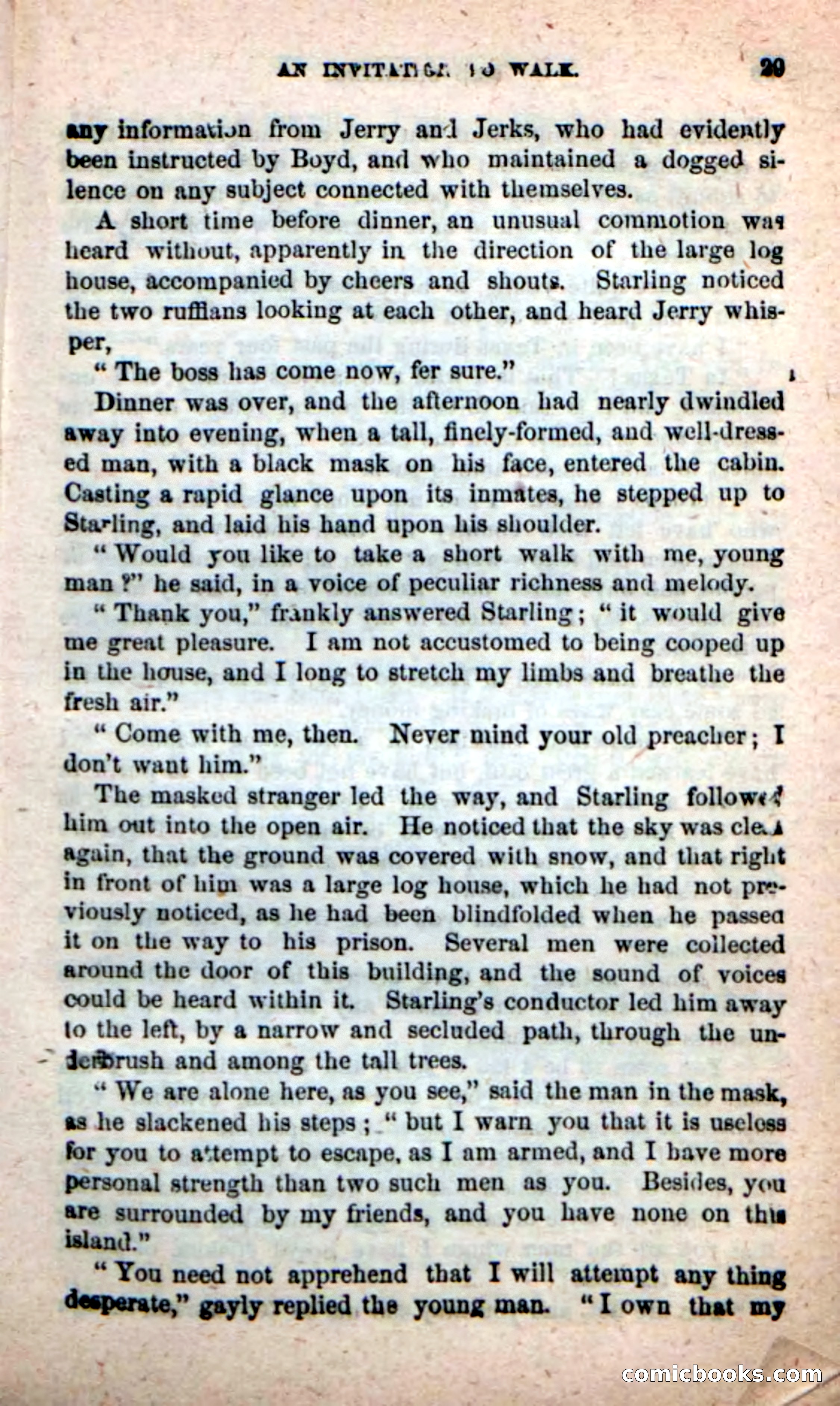 Beadle's New Dime Novels, No. 116 — page 25 of 100