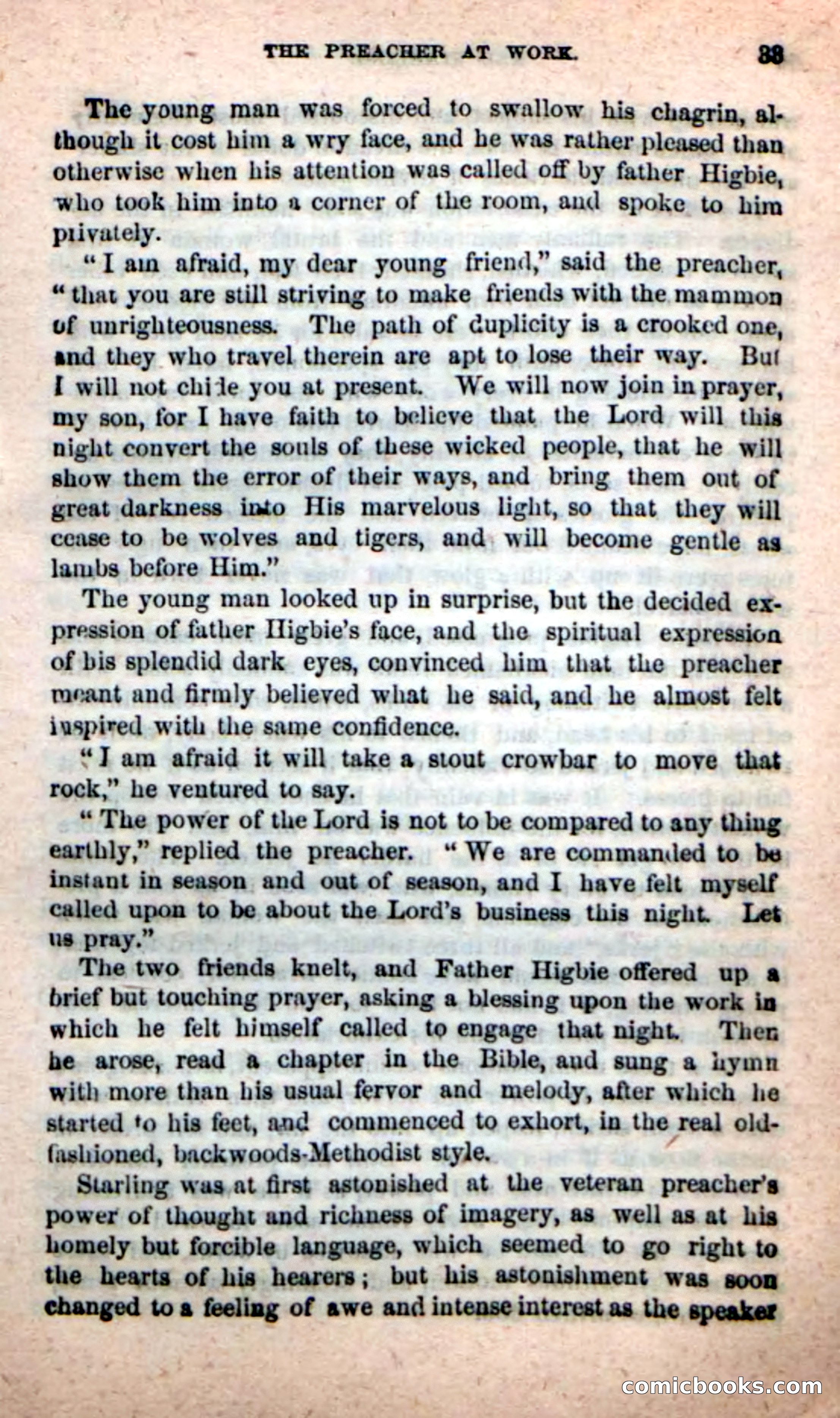 Beadle's New Dime Novels, No. 116 — page 29 of 100
