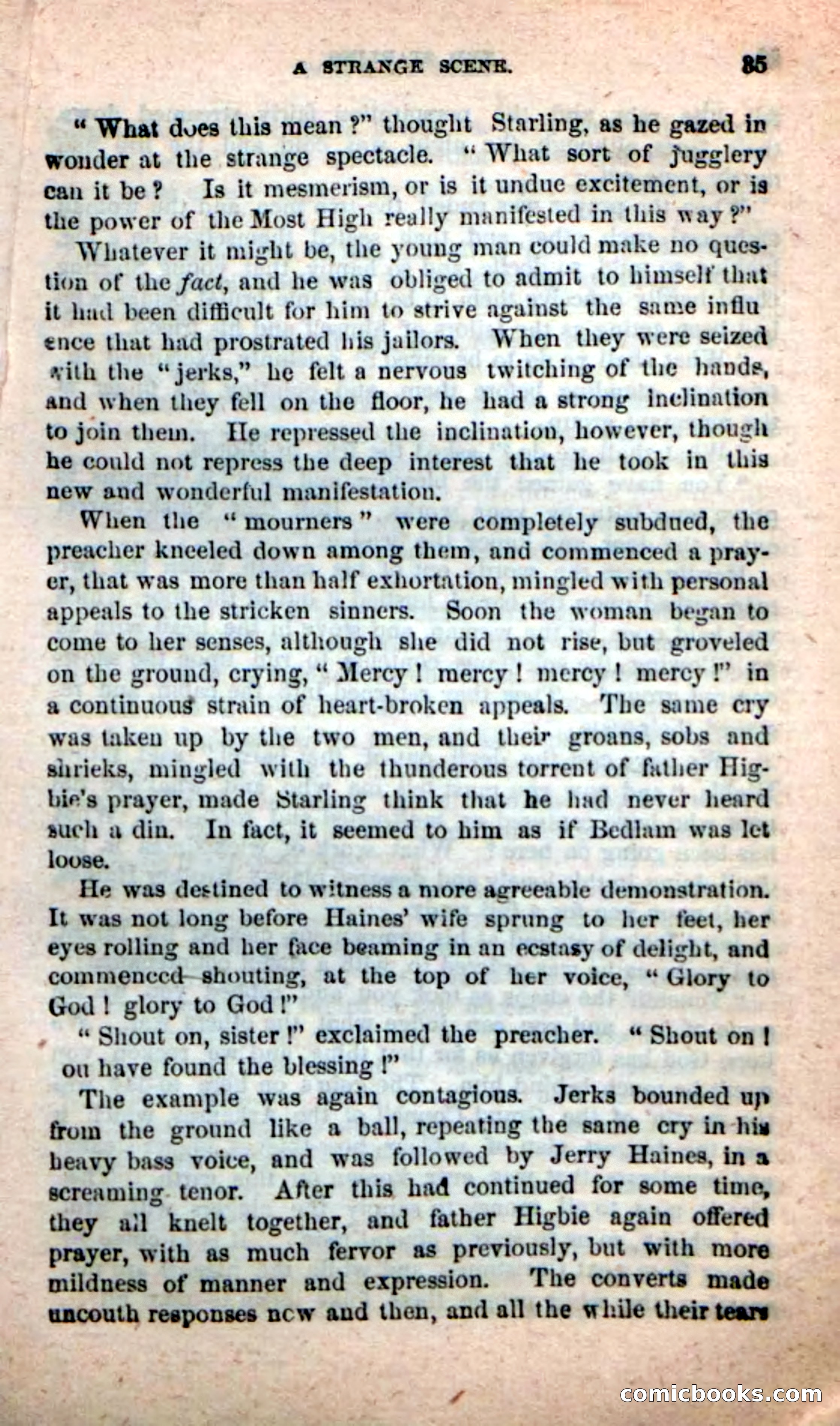 Beadle's New Dime Novels, No. 116 — page 31 of 100