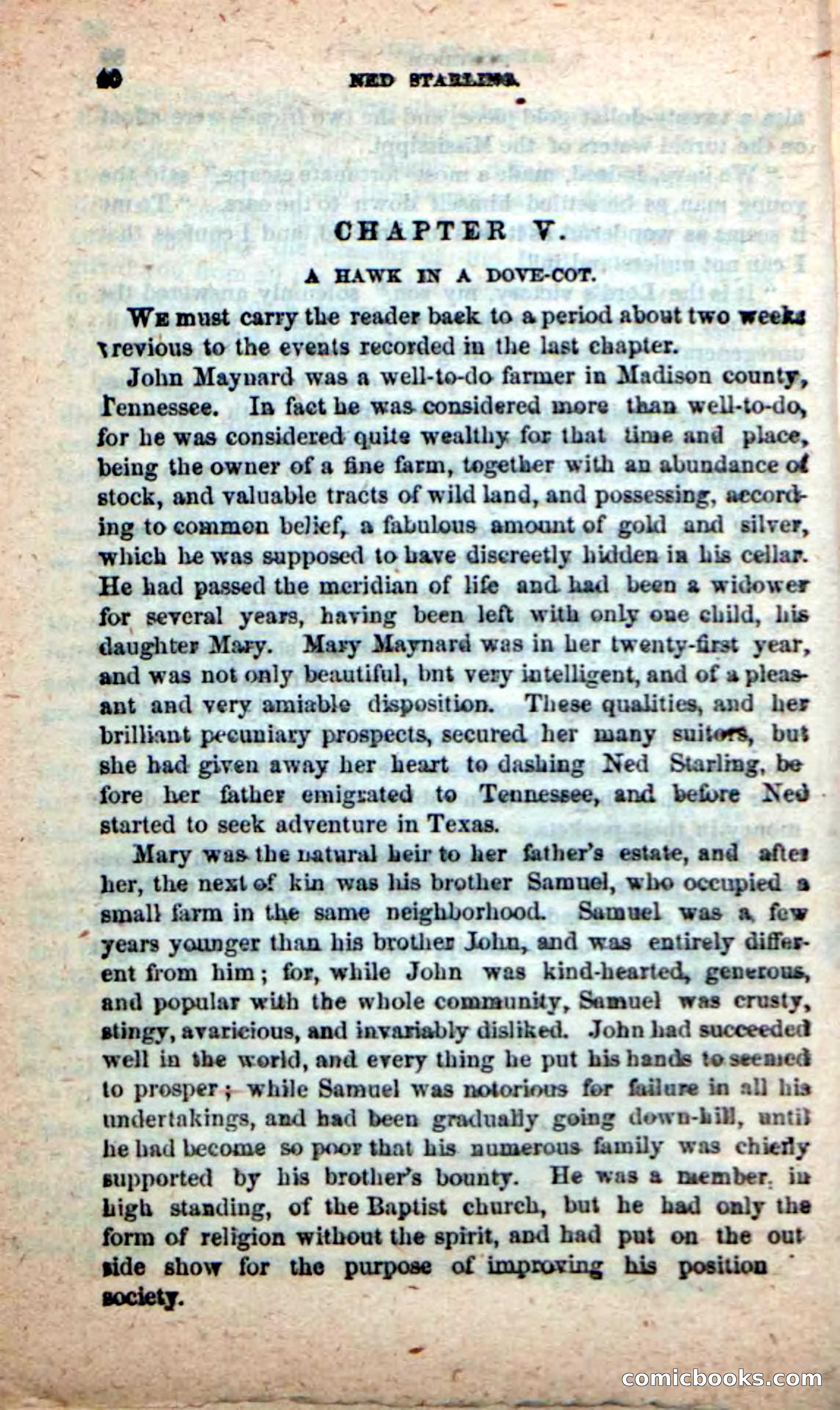 Beadle's New Dime Novels, No. 116 — page 36 of 100