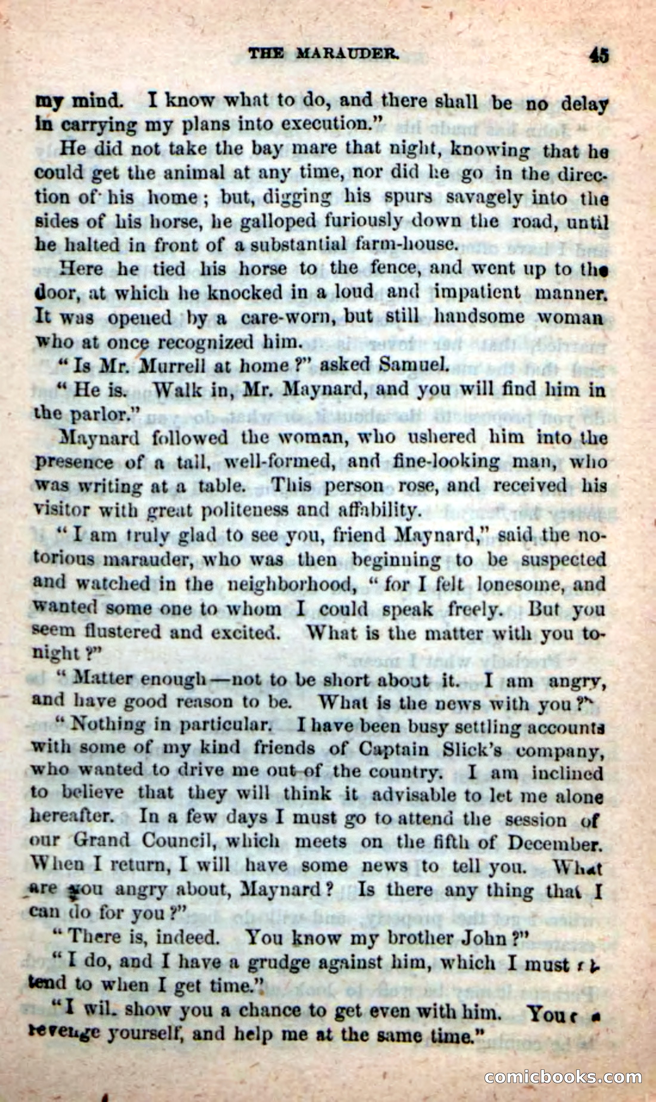 Beadle's New Dime Novels, No. 116 — page 41 of 100