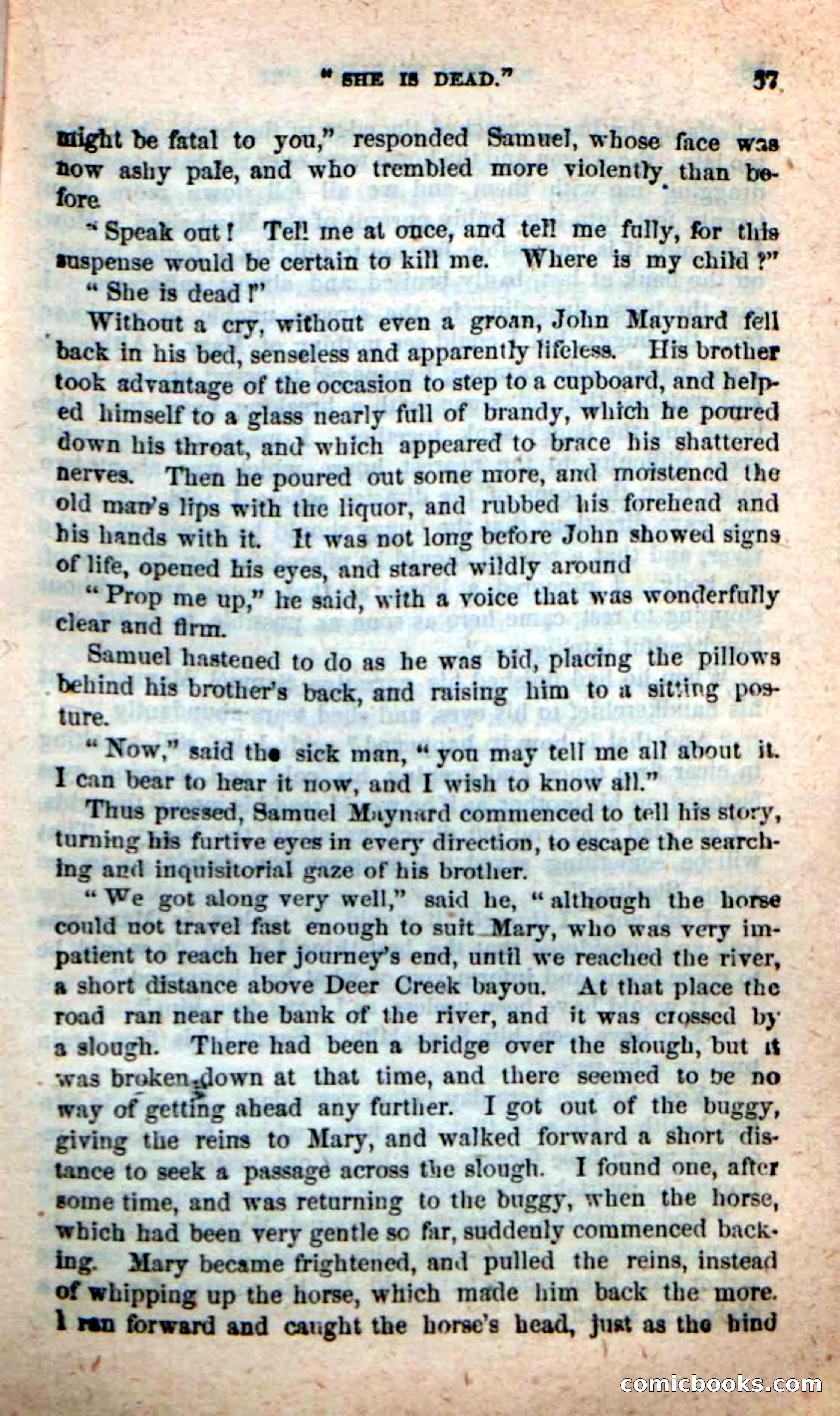 Beadle's New Dime Novels, No. 116 — page 53 of 100