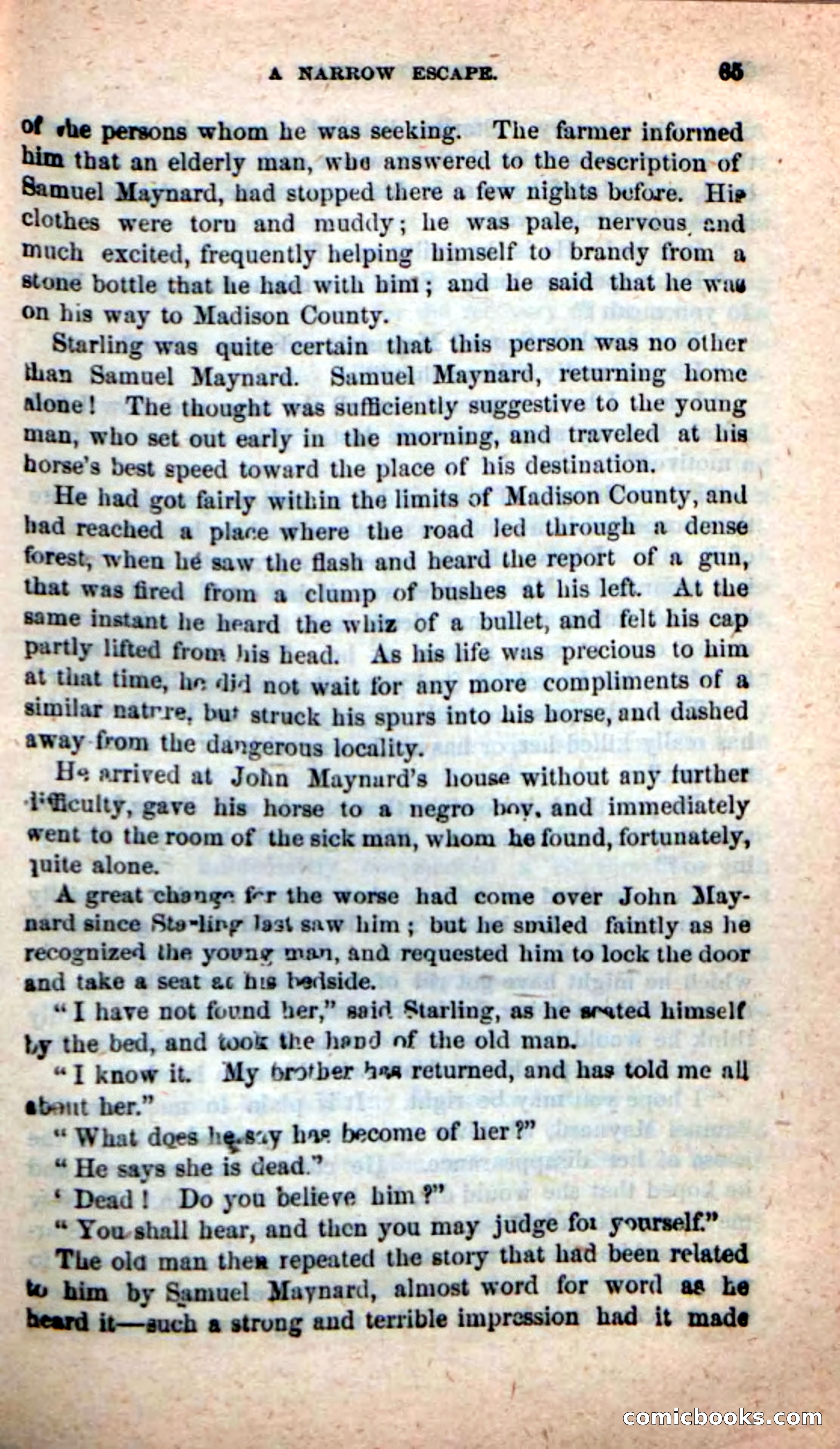 Beadle's New Dime Novels, No. 116 — page 61 of 100