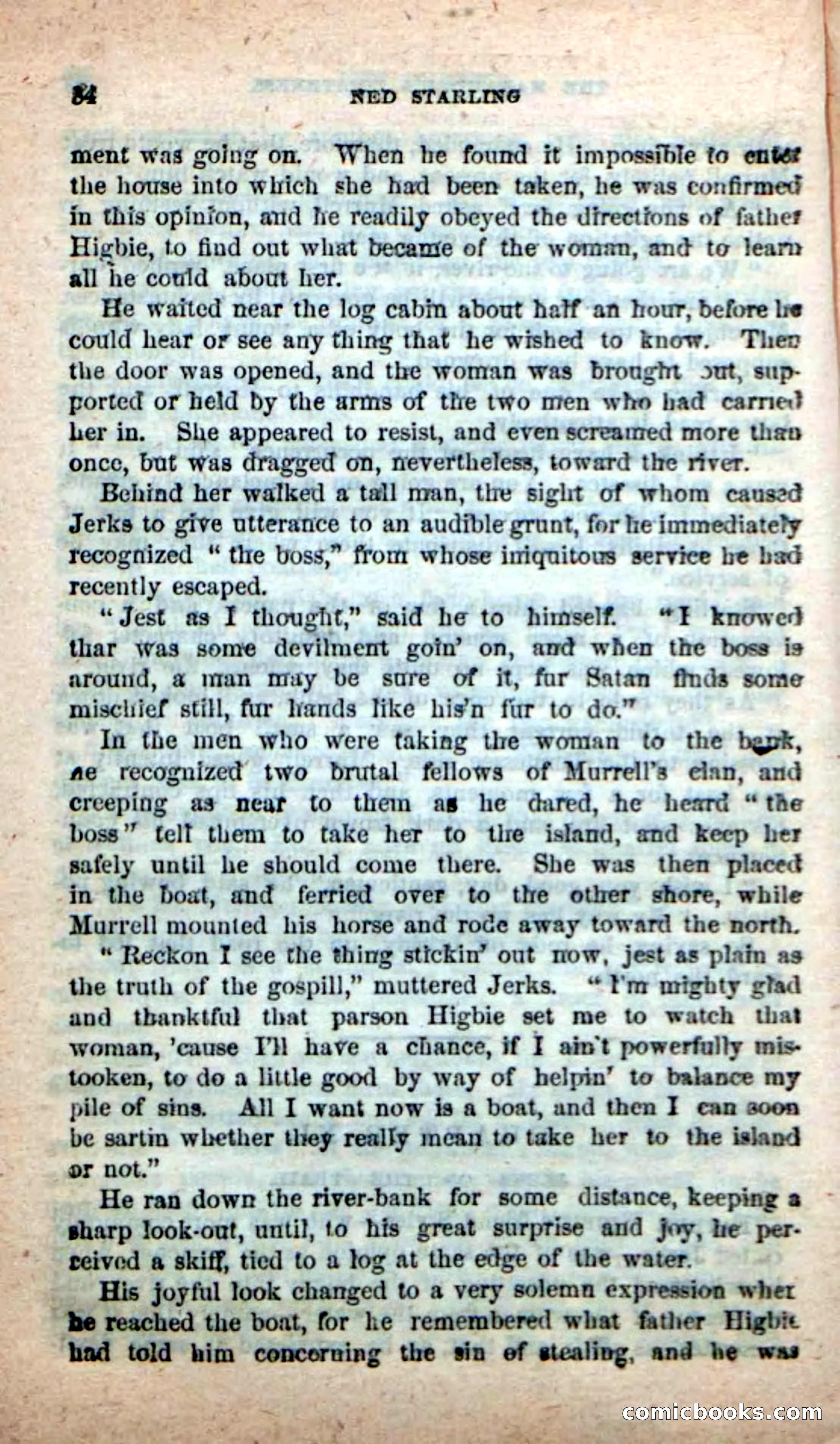 Beadle's New Dime Novels, No. 116 — page 80 of 100