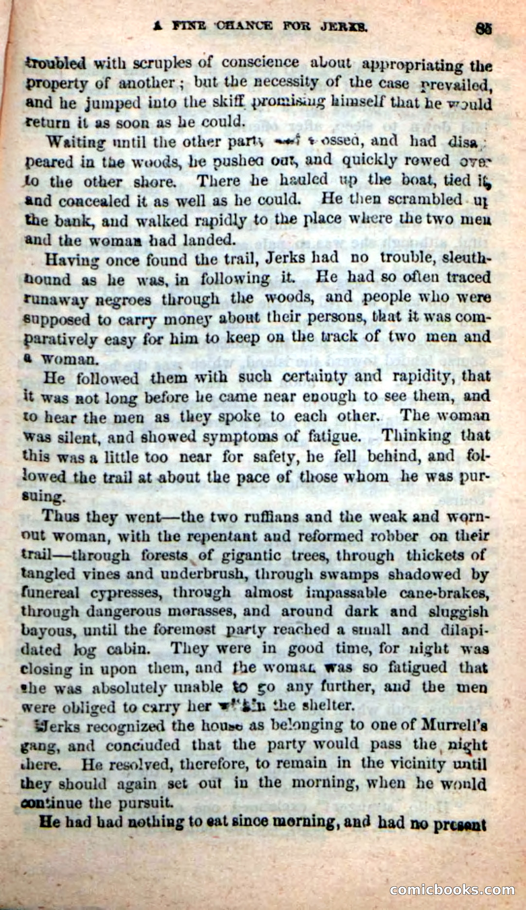 Beadle's New Dime Novels, No. 116 — page 81 of 100