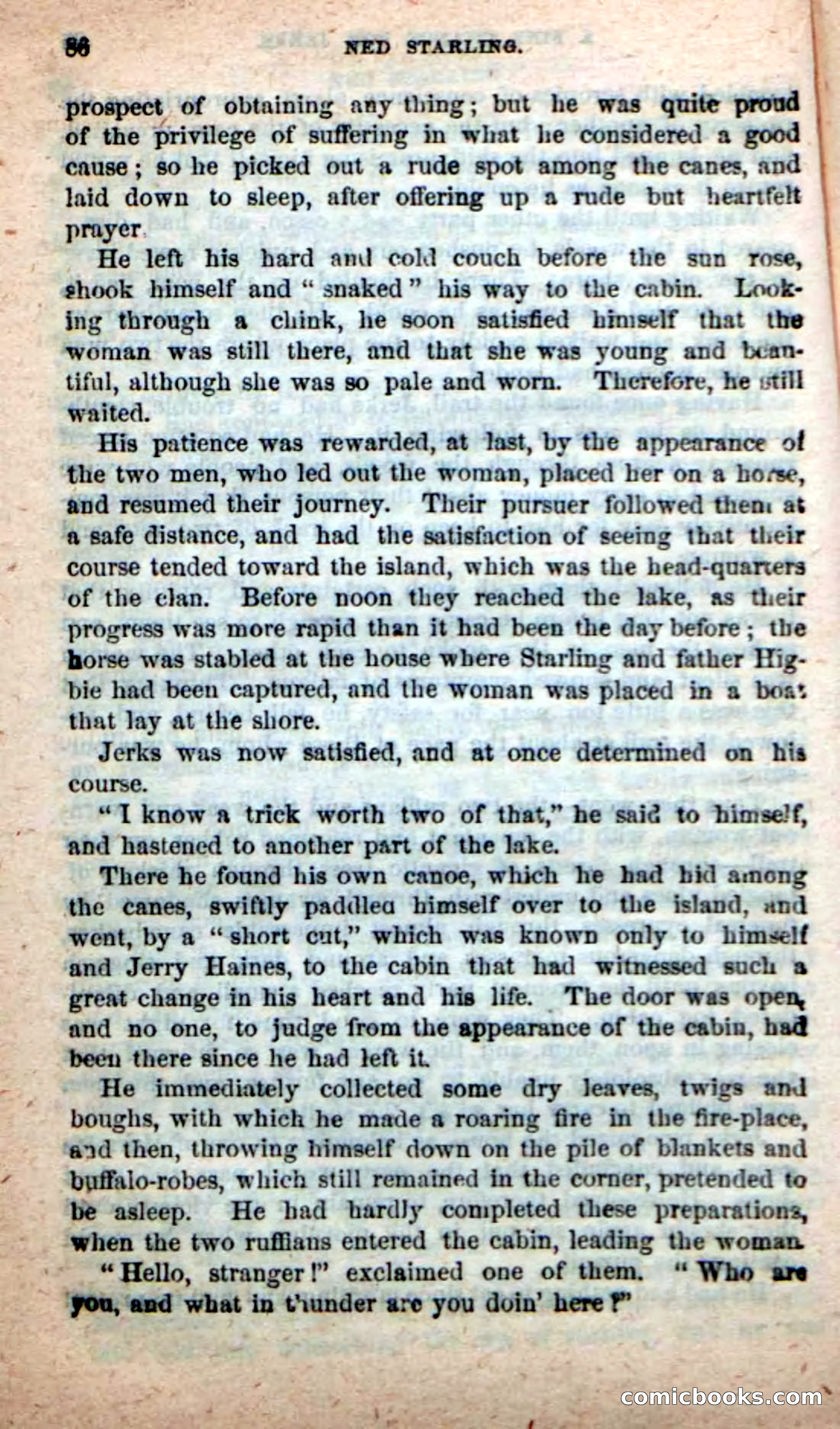 Beadle's New Dime Novels, No. 116 — page 82 of 100