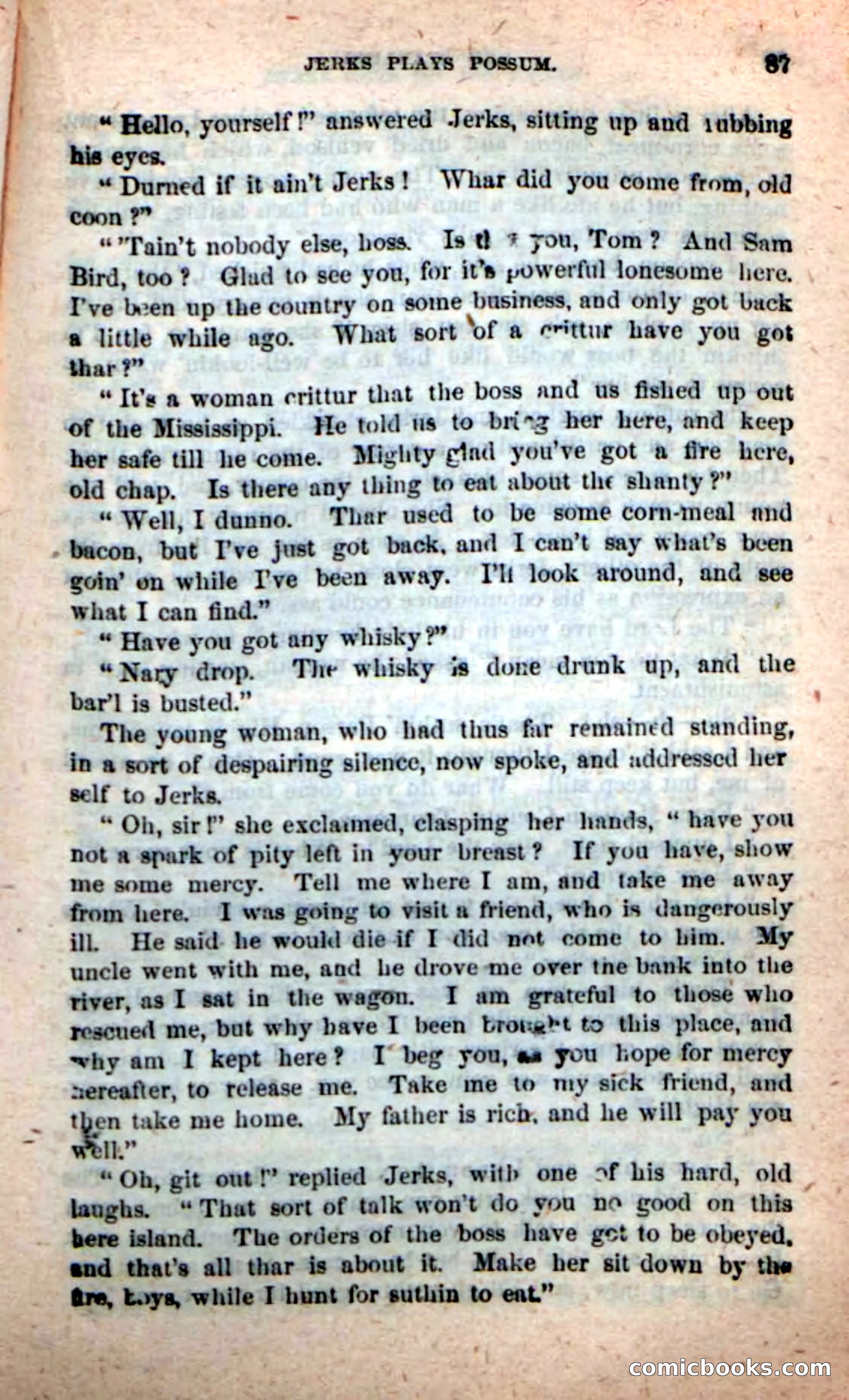 Beadle's New Dime Novels, No. 116 — page 83 of 100