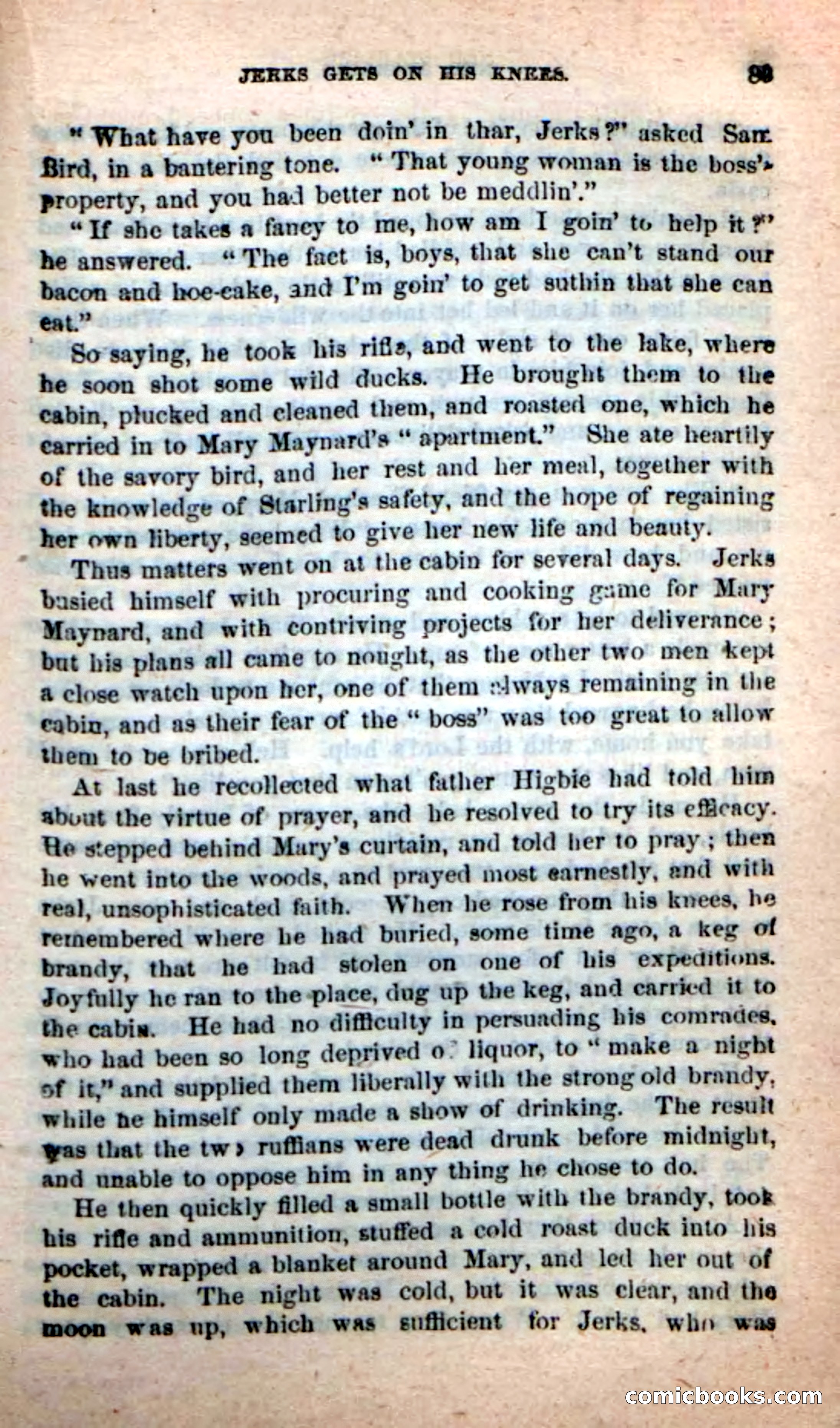 Beadle's New Dime Novels, No. 116 — page 85 of 100