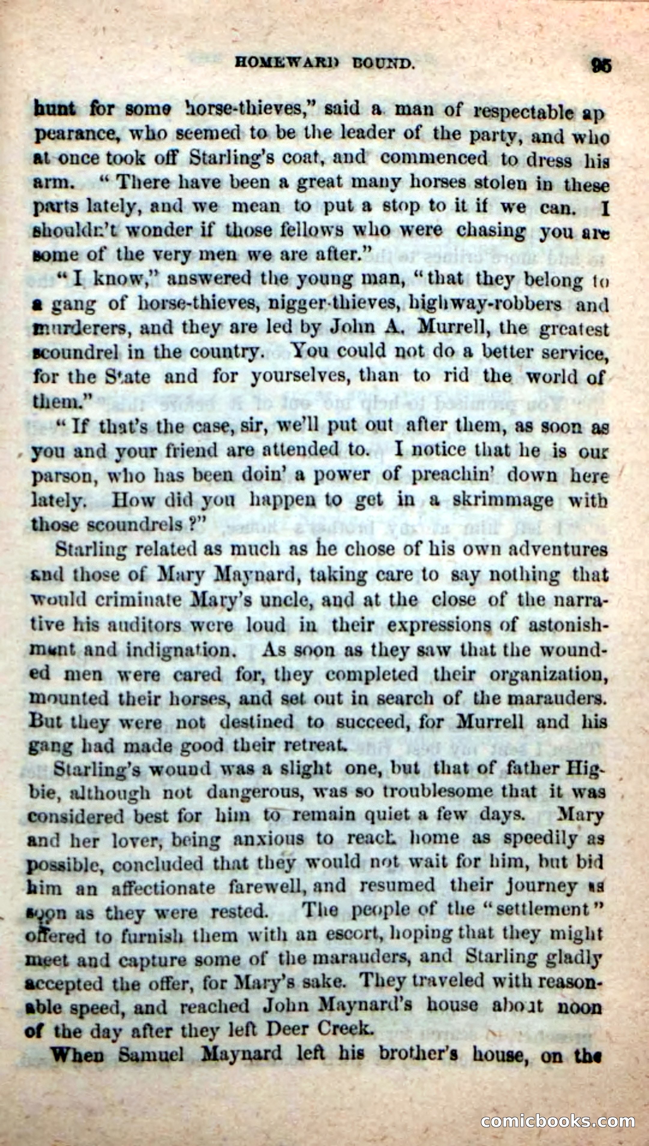 Beadle's New Dime Novels, No. 116 — page 91 of 100