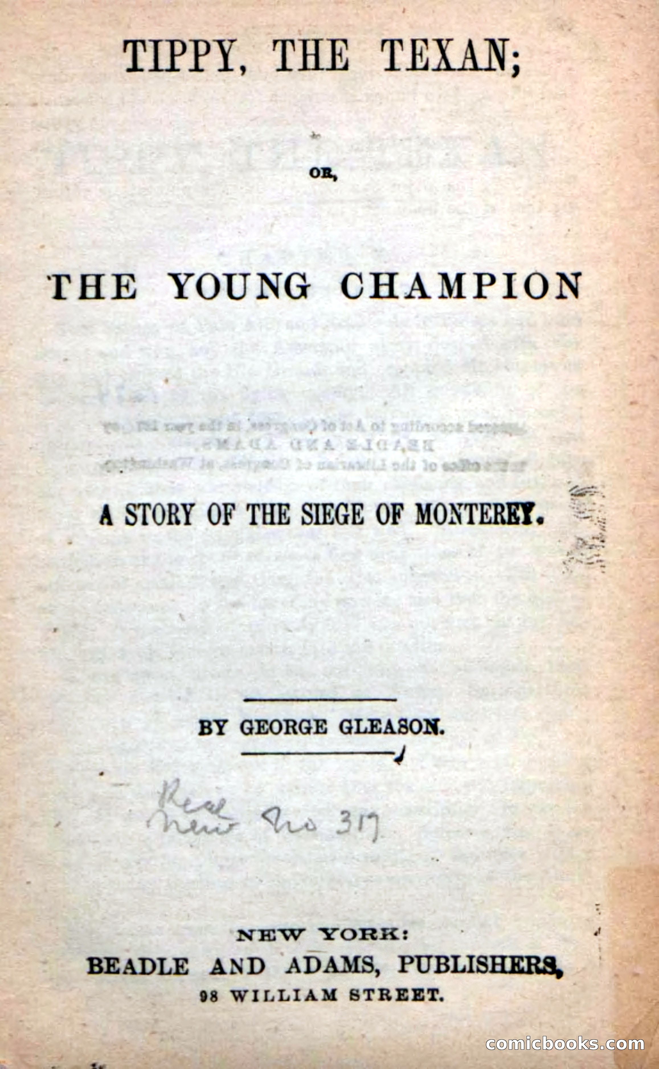 Beadle's New Dime Novels: Tippy, the Texan — page 3 of 101
