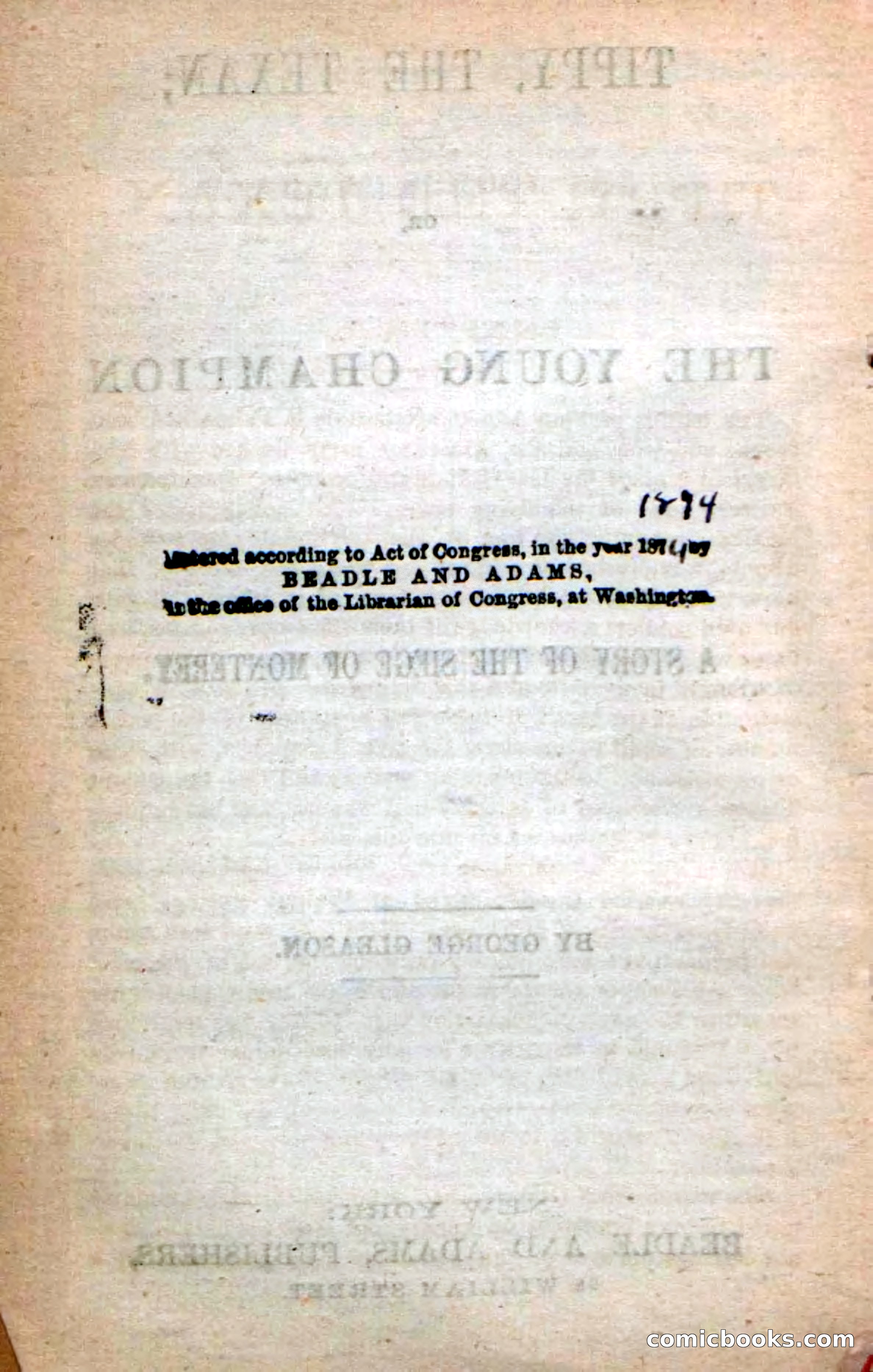 Beadle's New Dime Novels: Tippy, the Texan — page 4 of 101