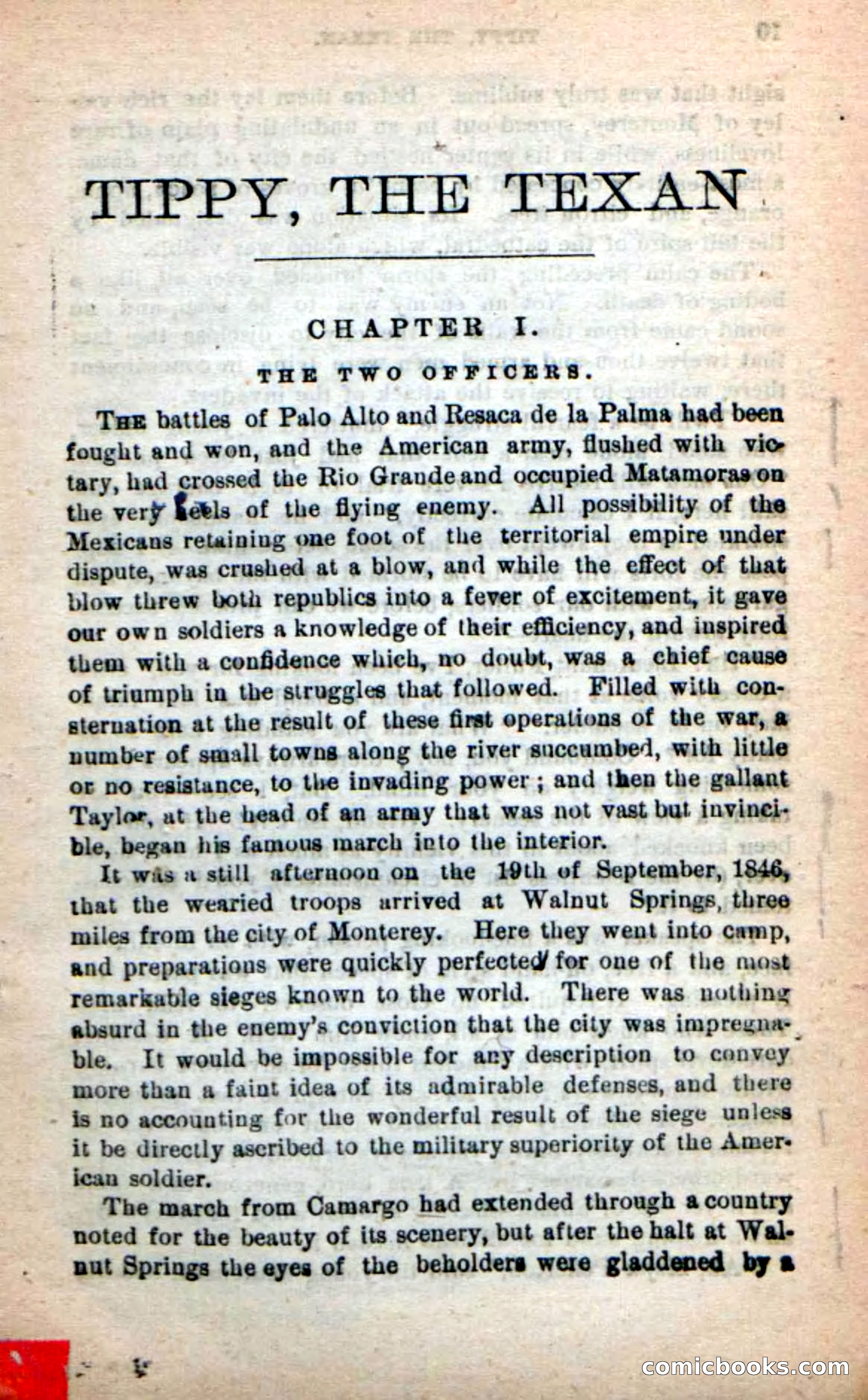 Beadle's New Dime Novels: Tippy, the Texan — page 5 of 101