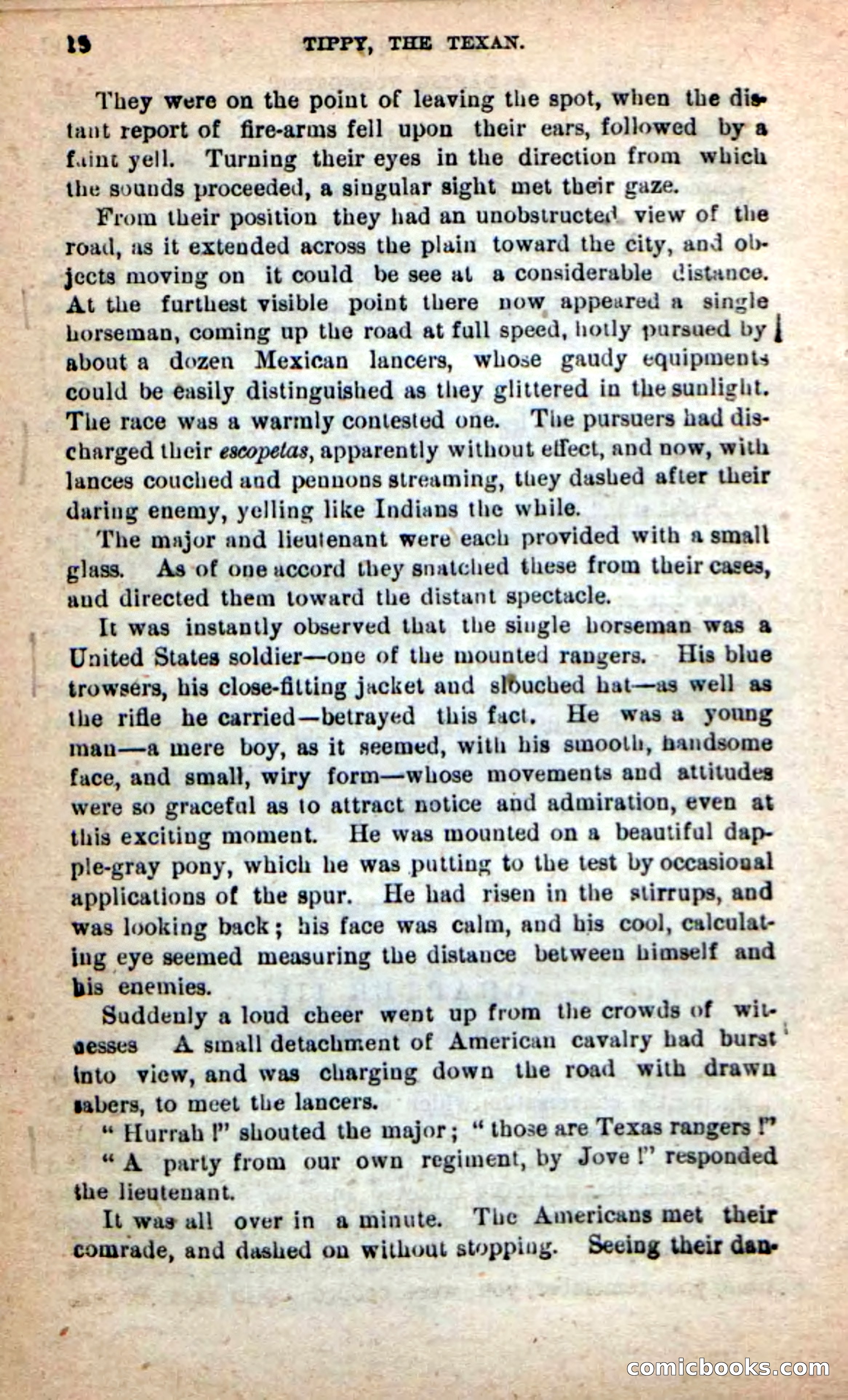 Beadle's New Dime Novels: Tippy, the Texan — page 14 of 101