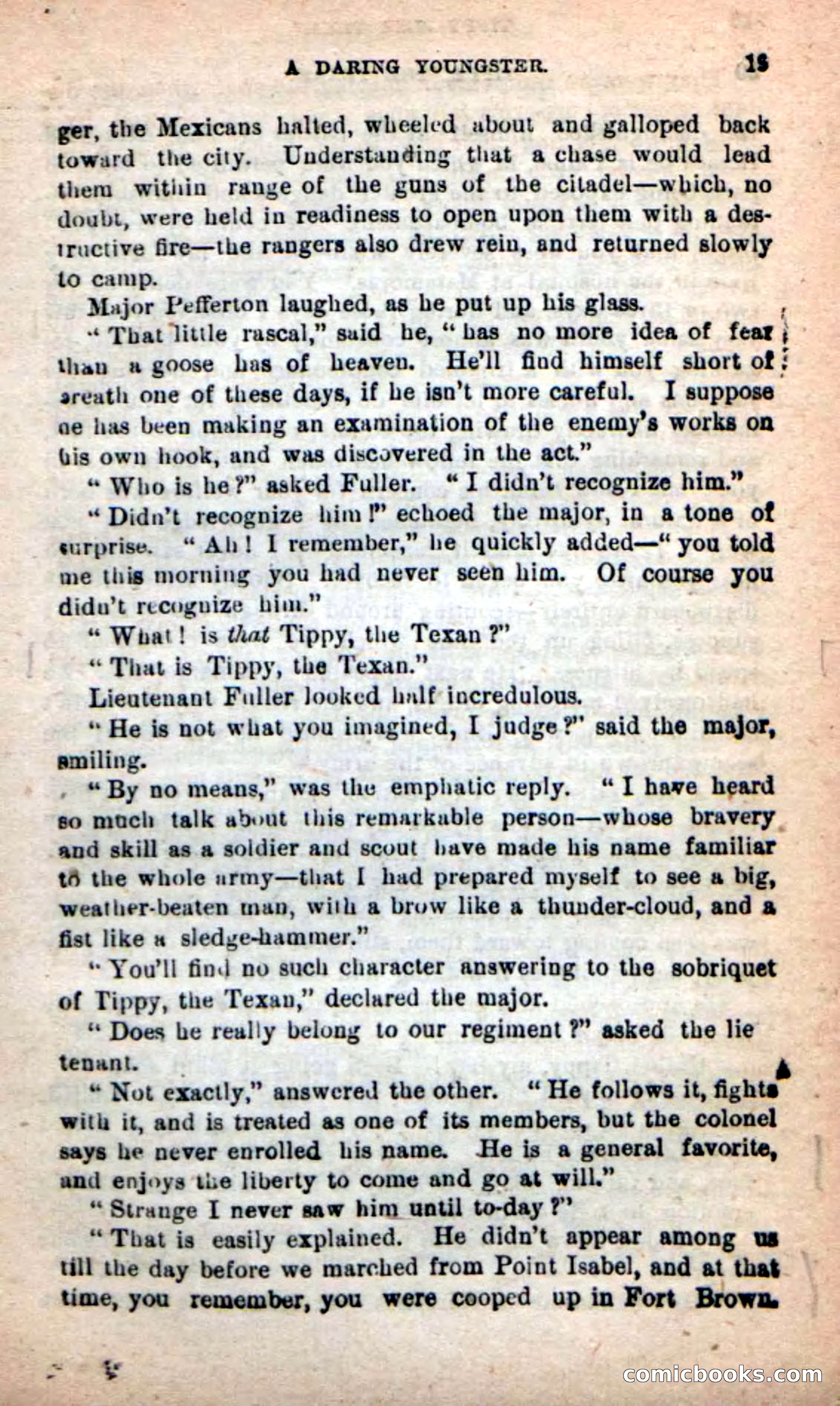 Beadle's New Dime Novels: Tippy, the Texan — page 15 of 101