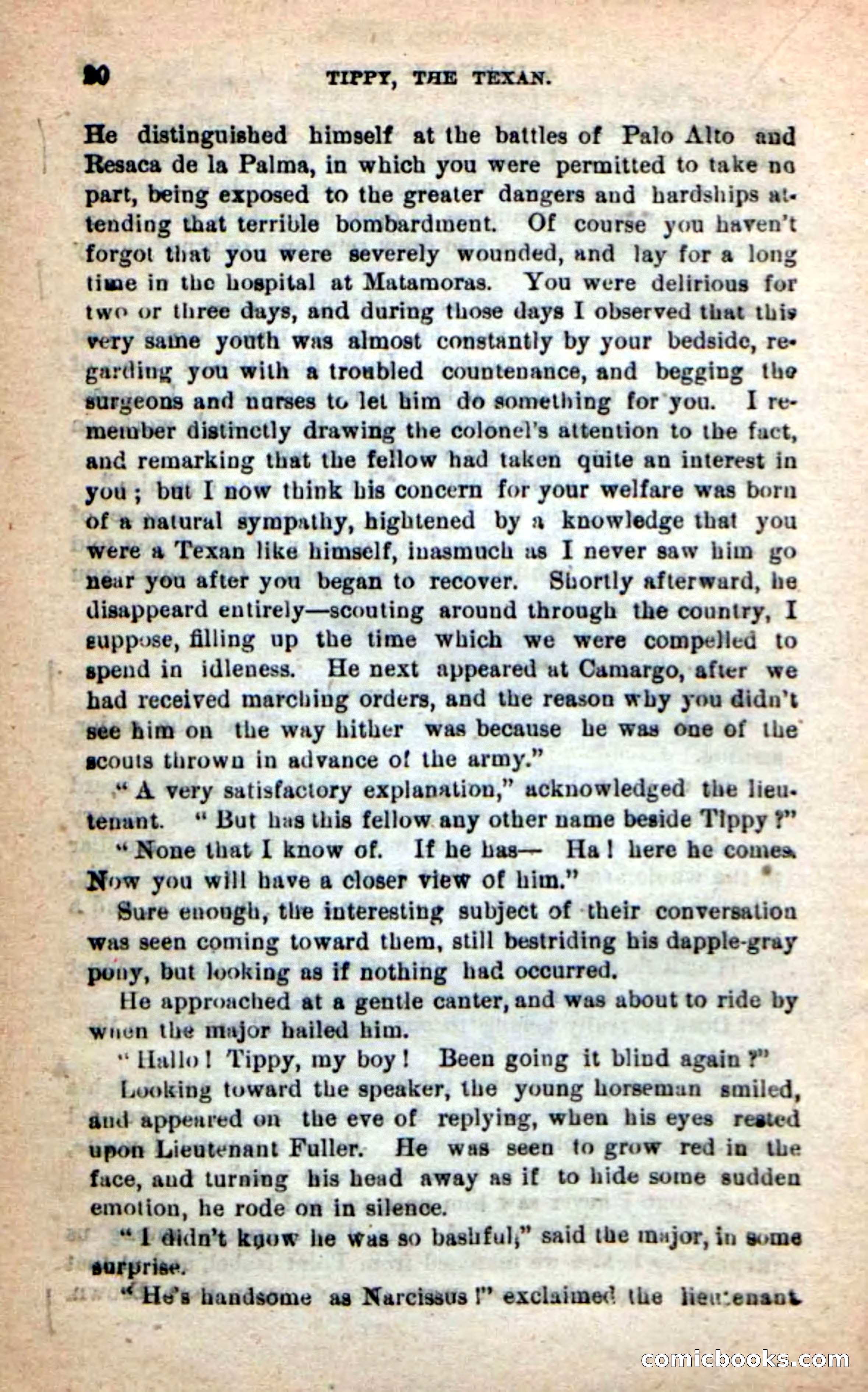 Beadle's New Dime Novels: Tippy, the Texan — page 16 of 101