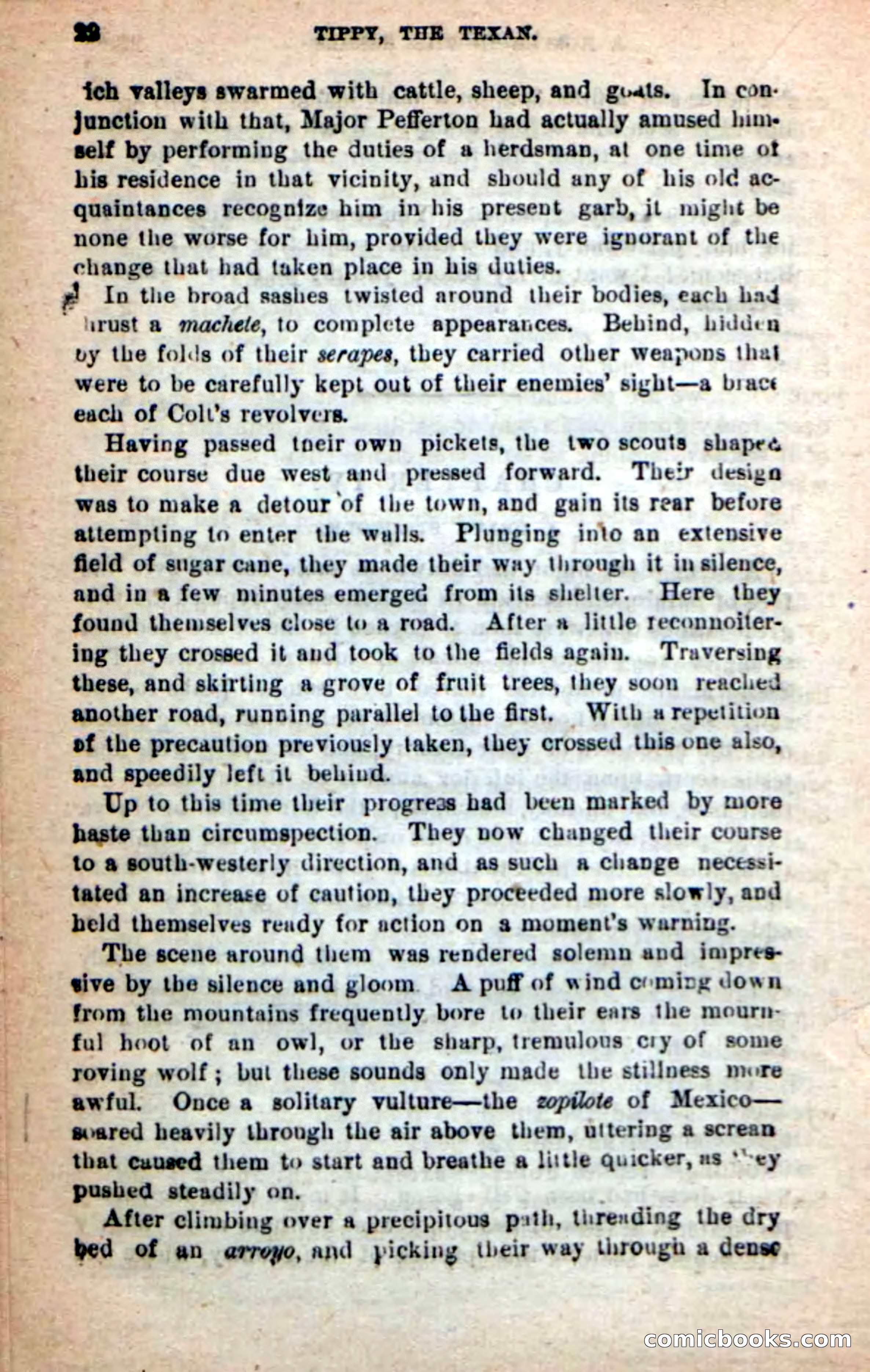 Beadle's New Dime Novels: Tippy, the Texan — page 18 of 101
